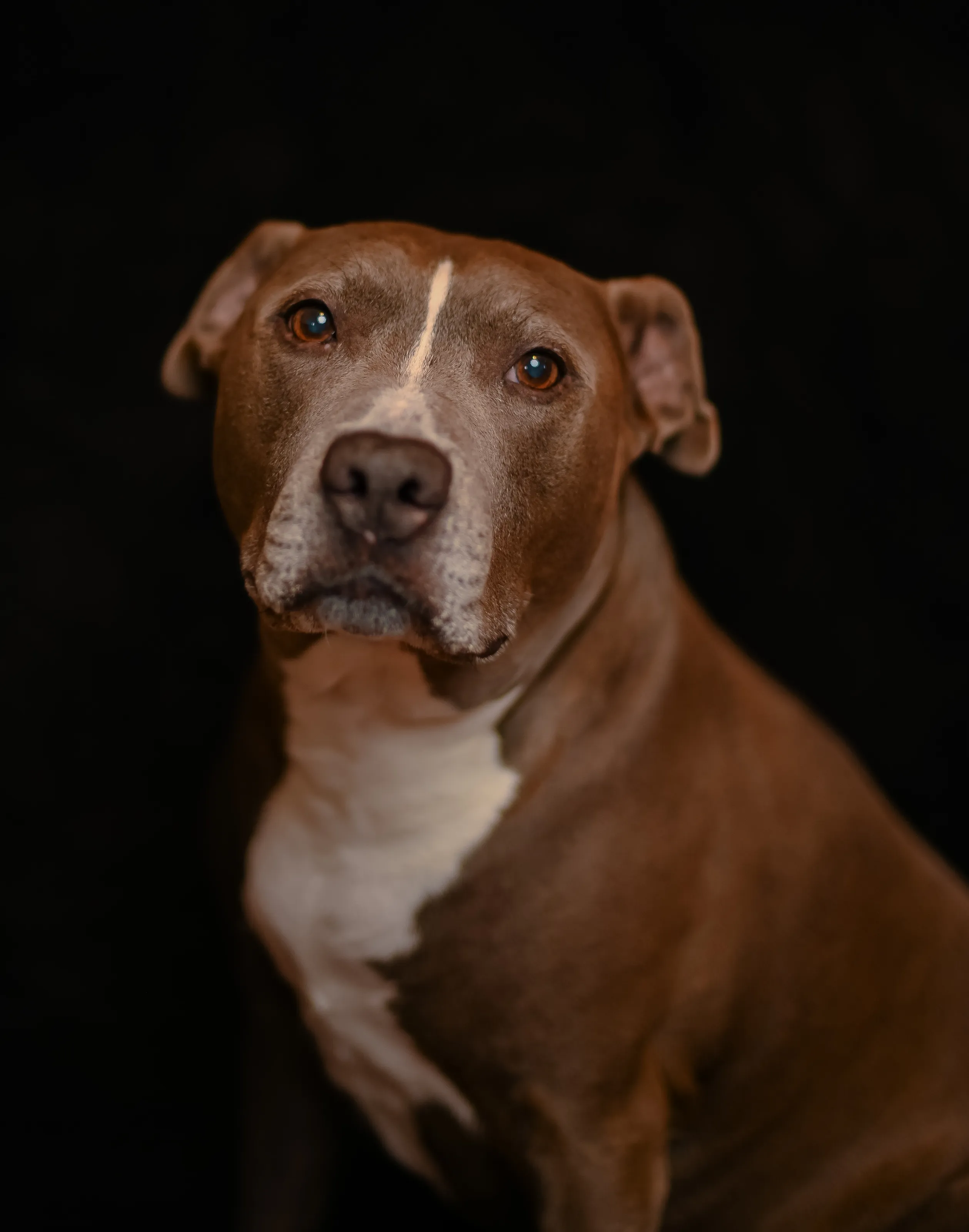 Roscoe