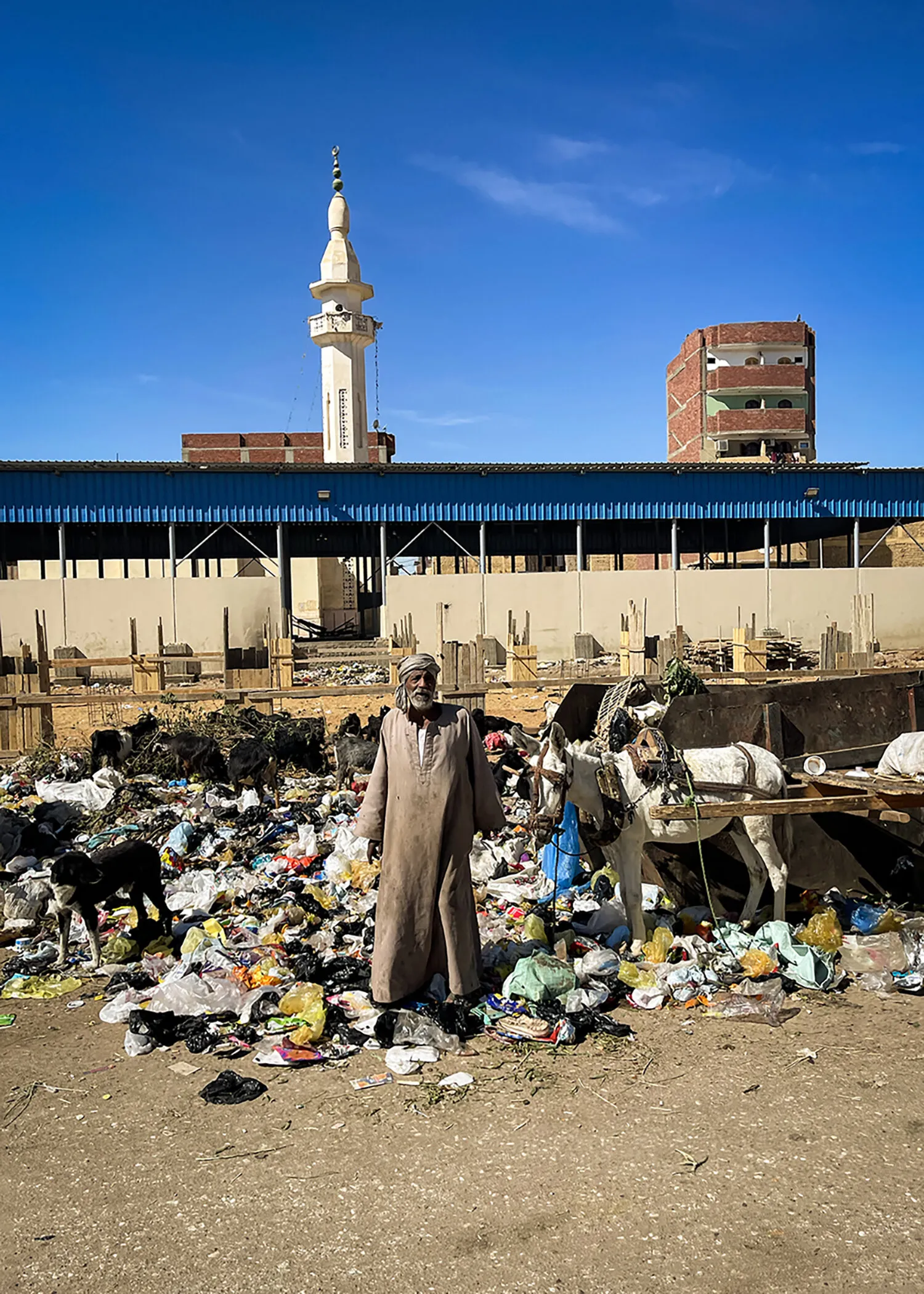 Trash Lord of Aswan