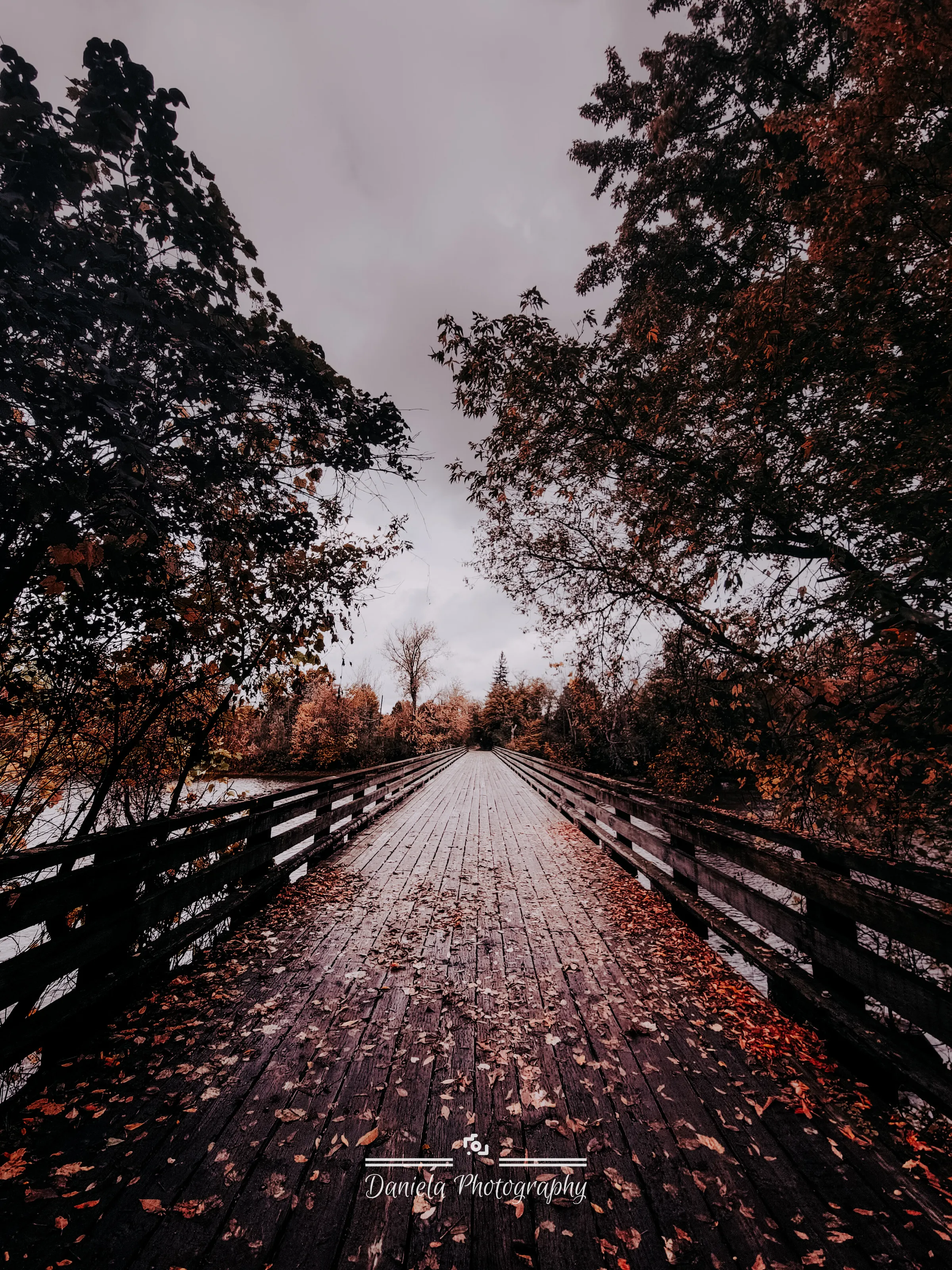 Into nowhere