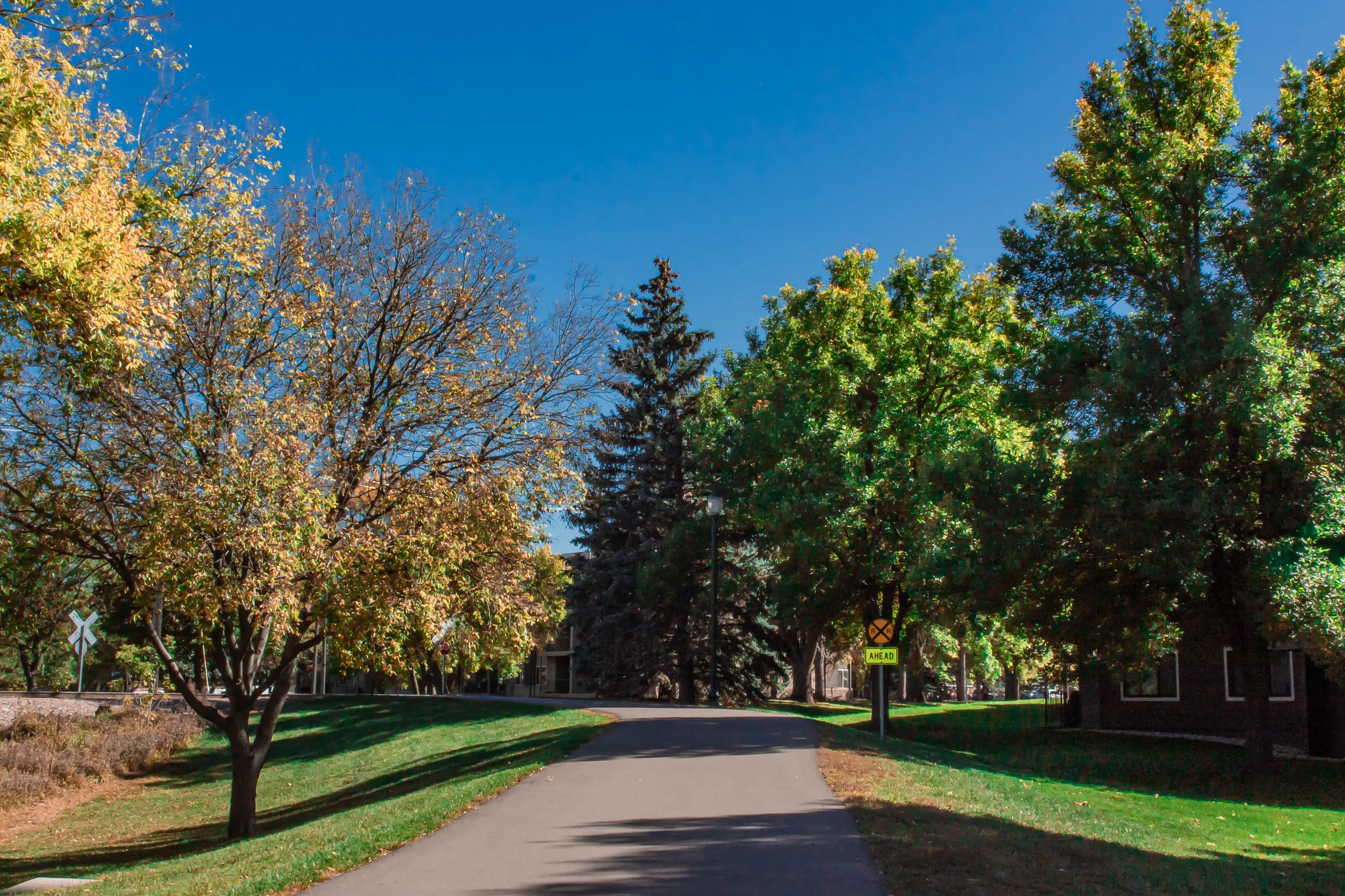 Fading into Fall