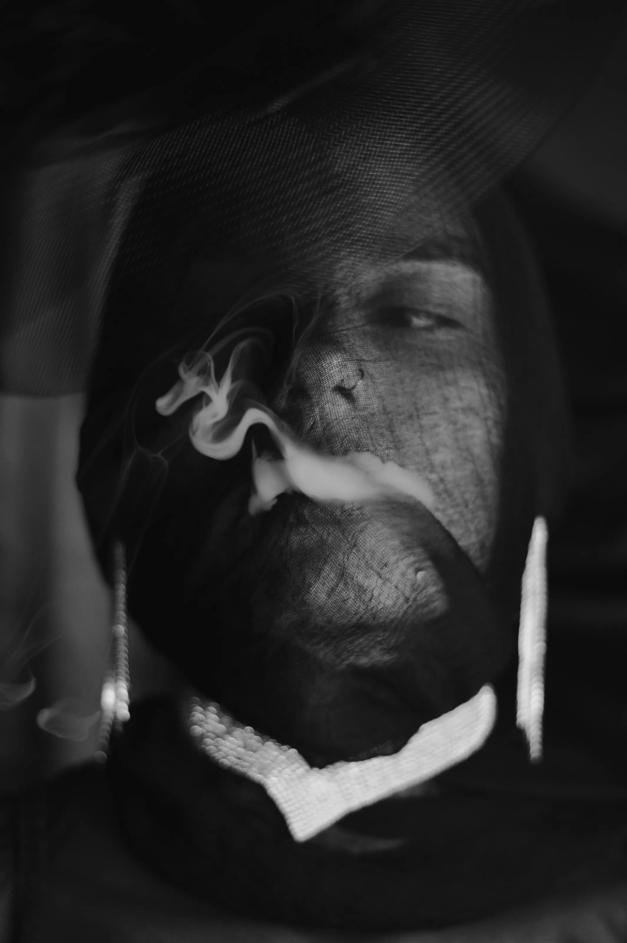 Banner image