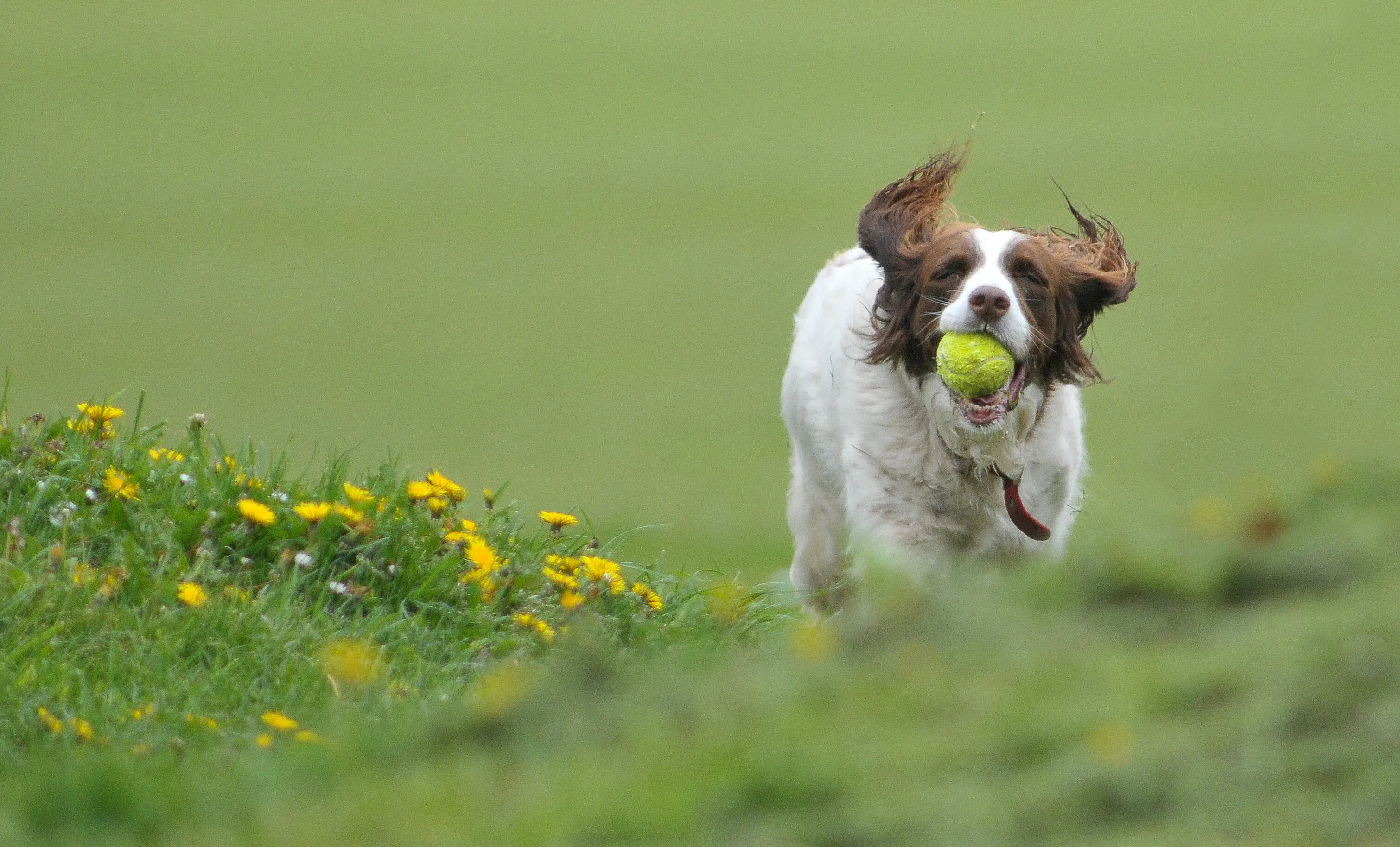 Playtime