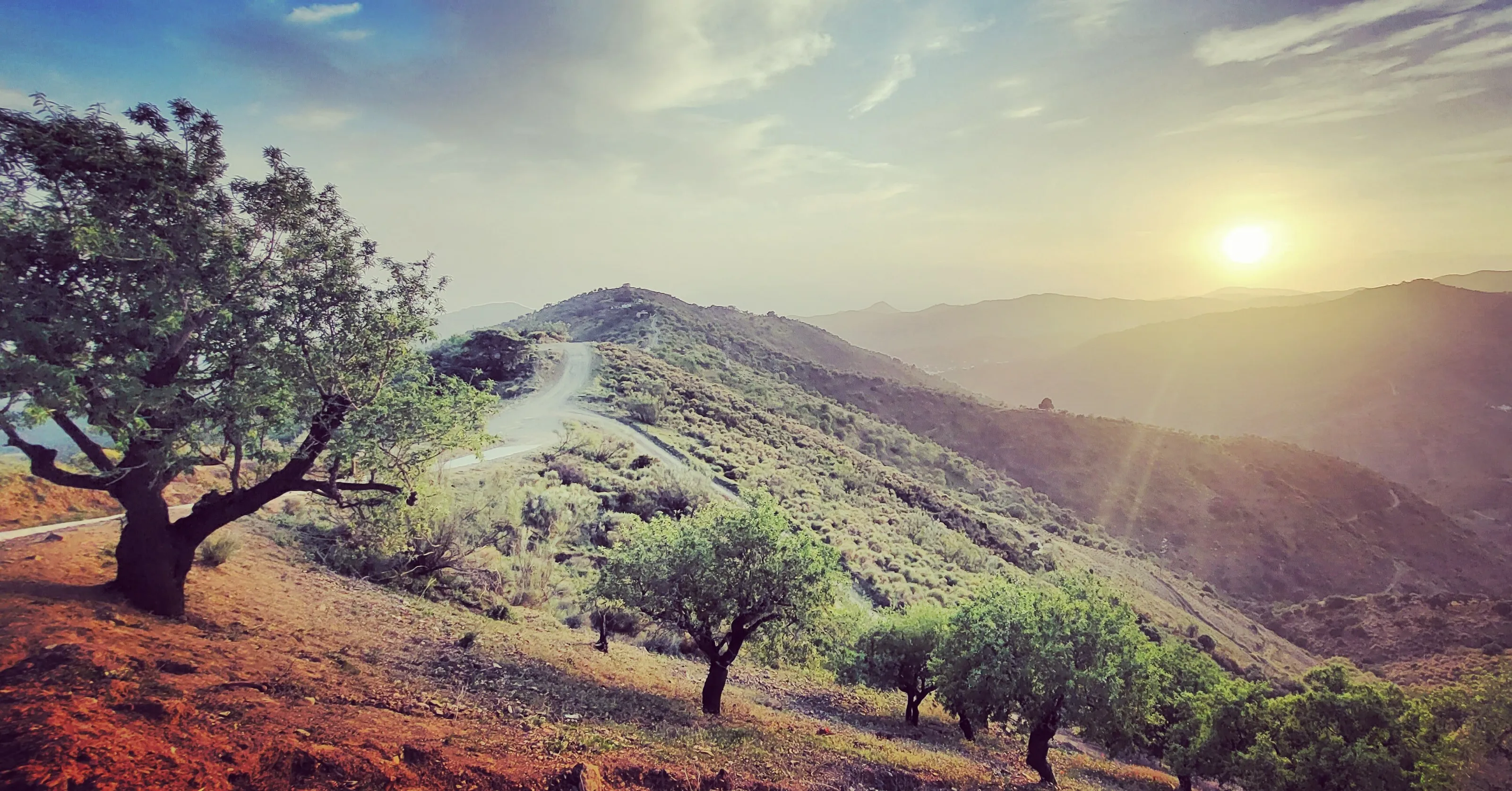 Axarquia at sunset