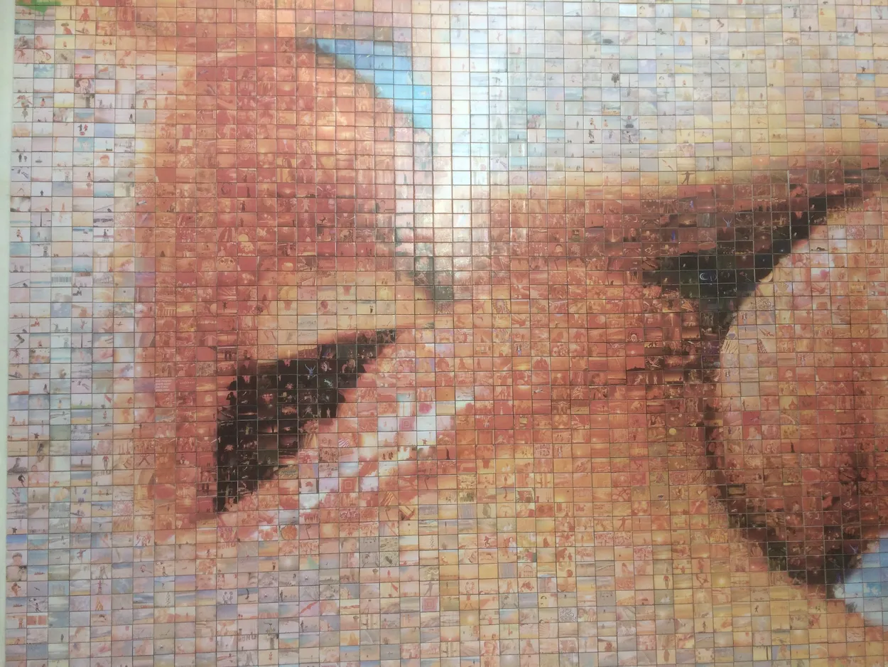 Entry 18096231
