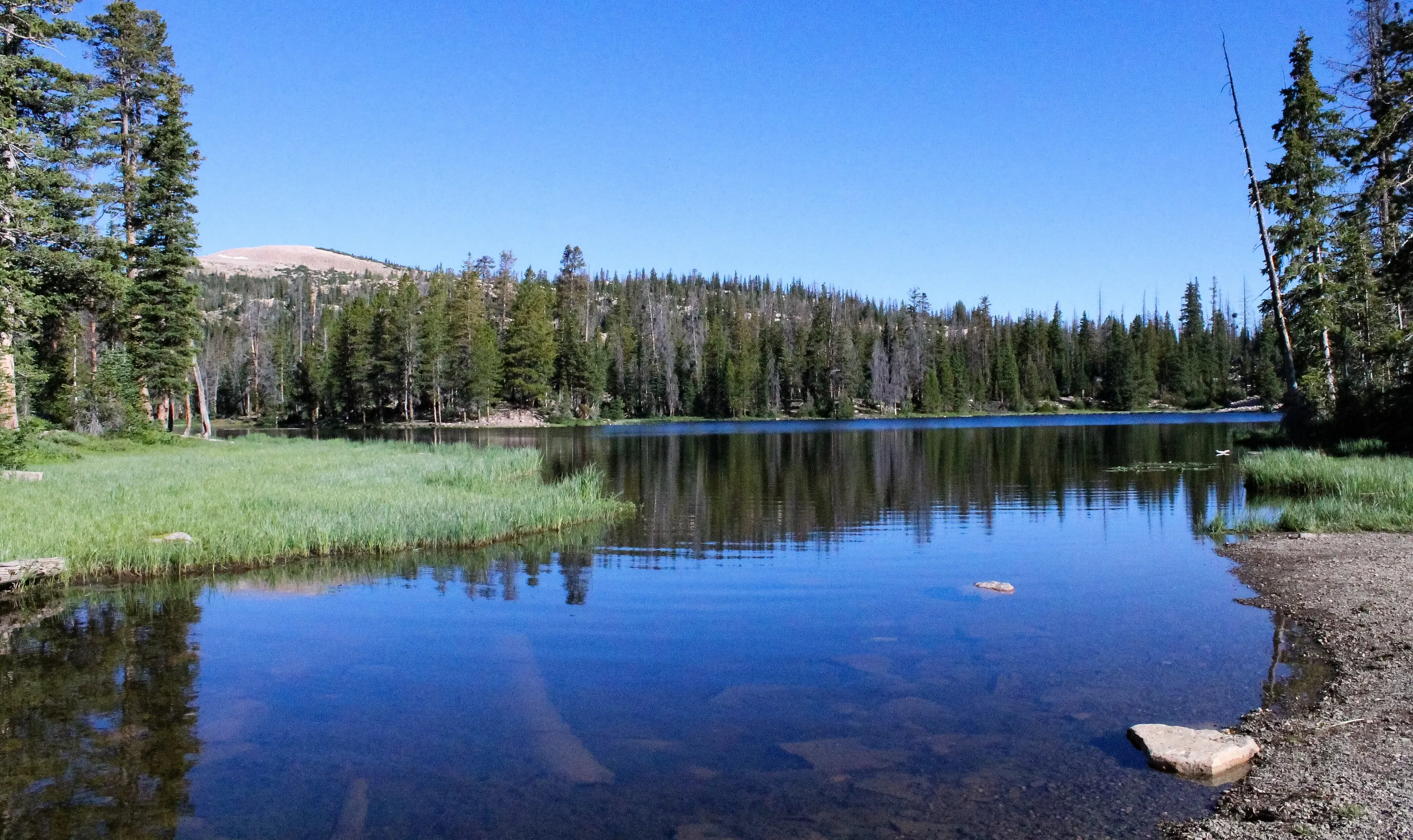Pristine places