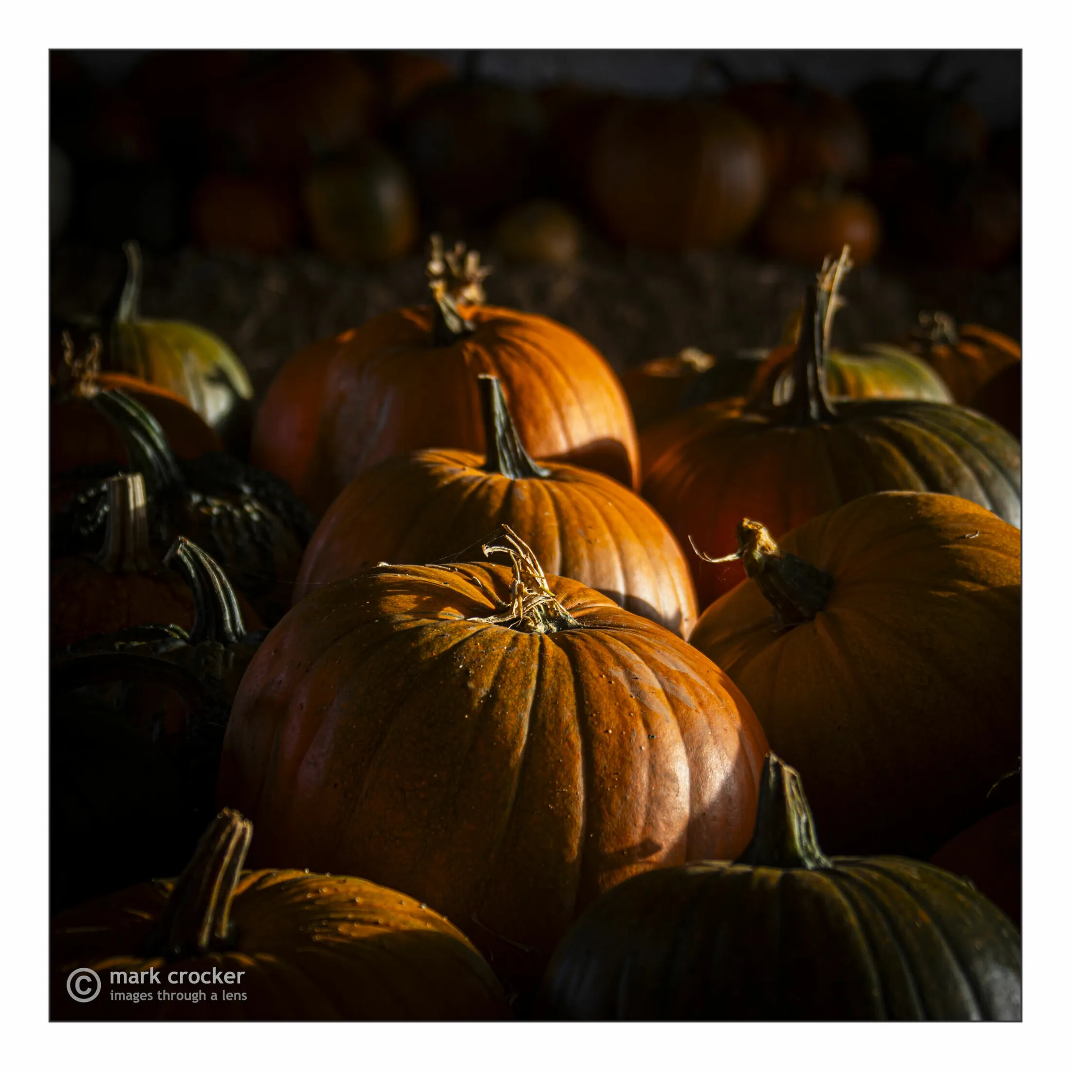 Pumpkins