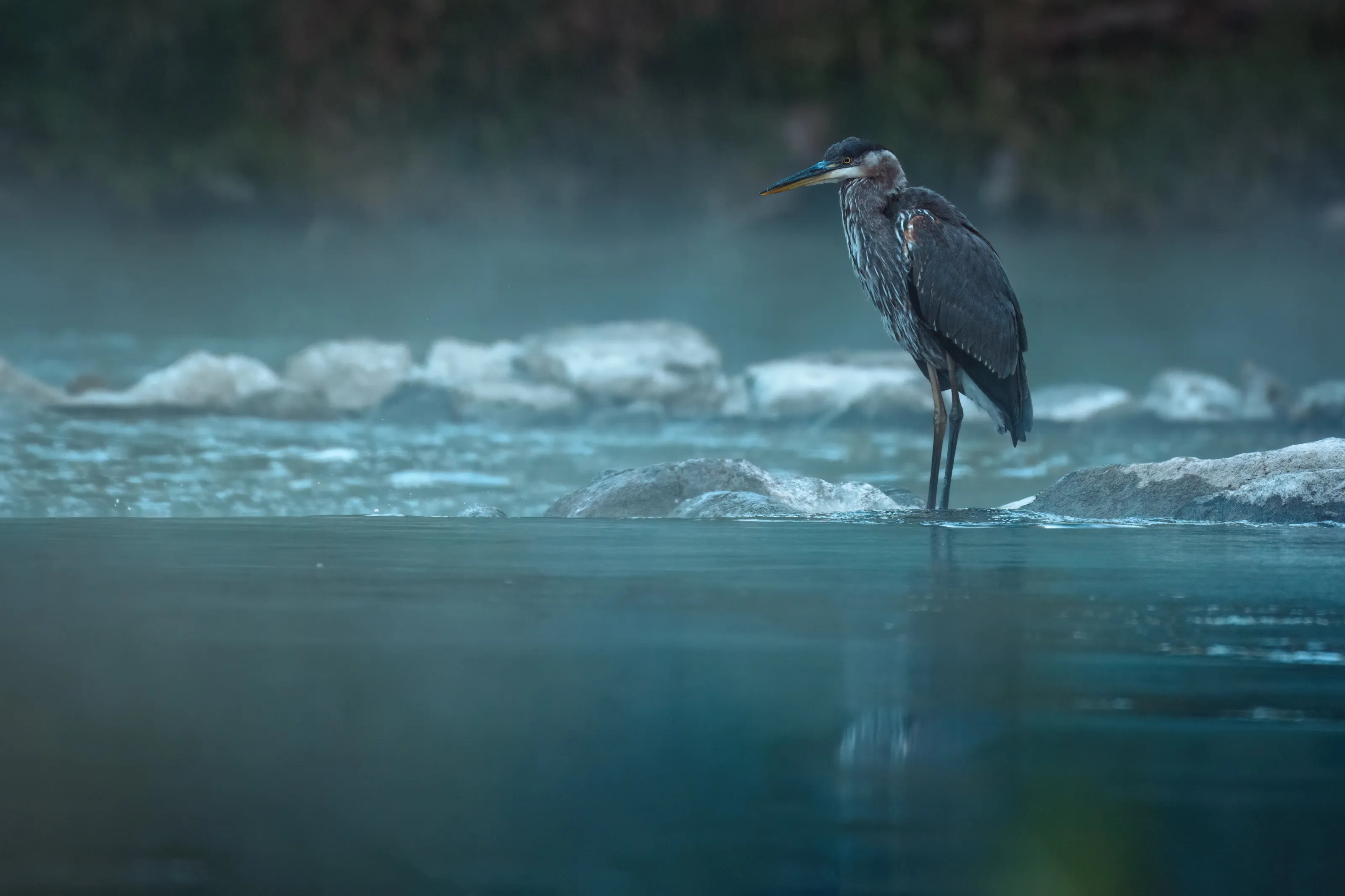 Misty Morning