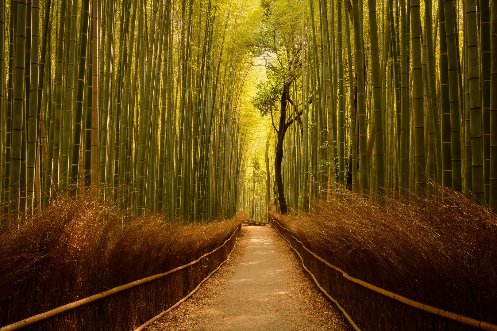 Path to Serenity