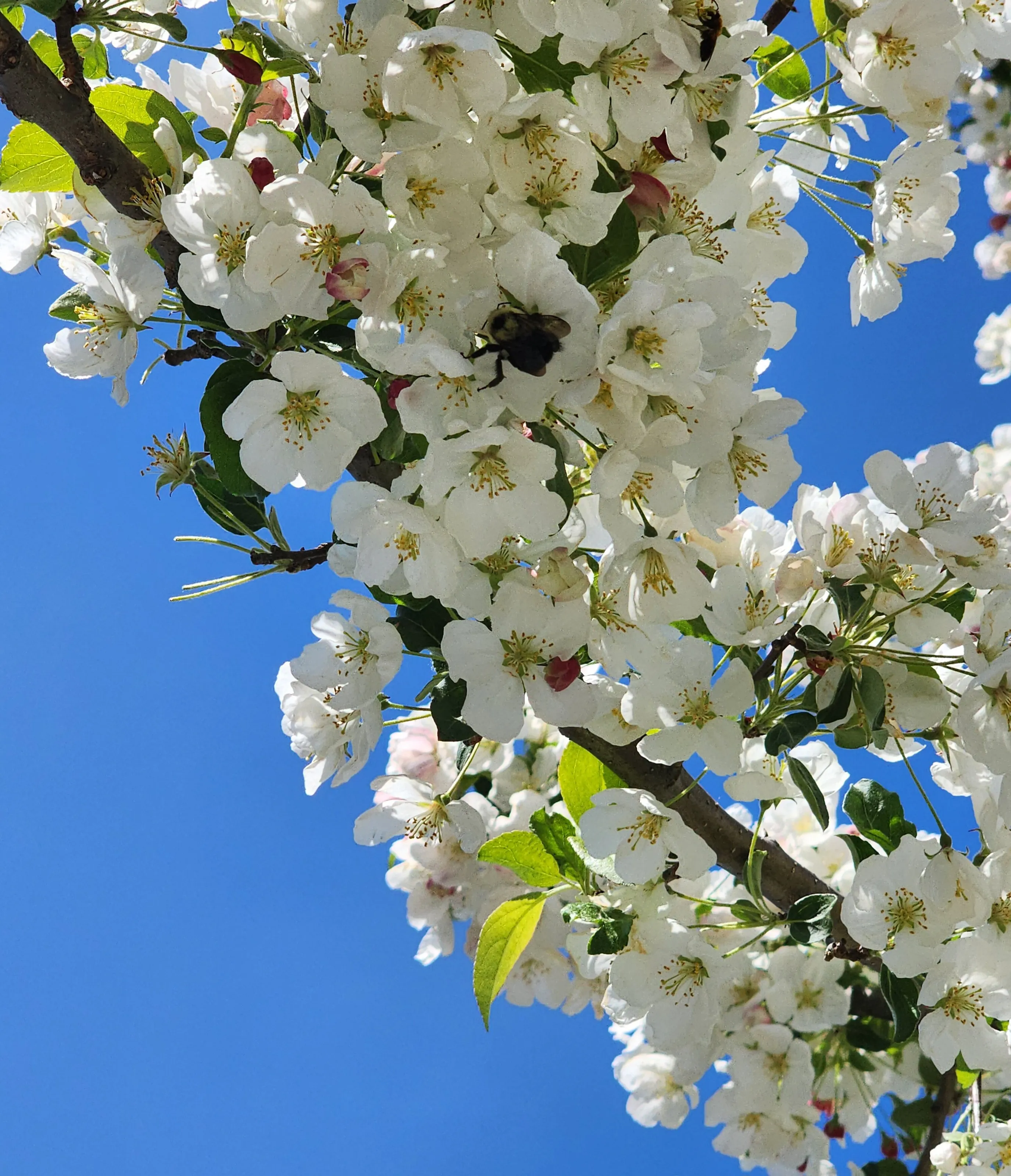 Nice to bee here for this shot