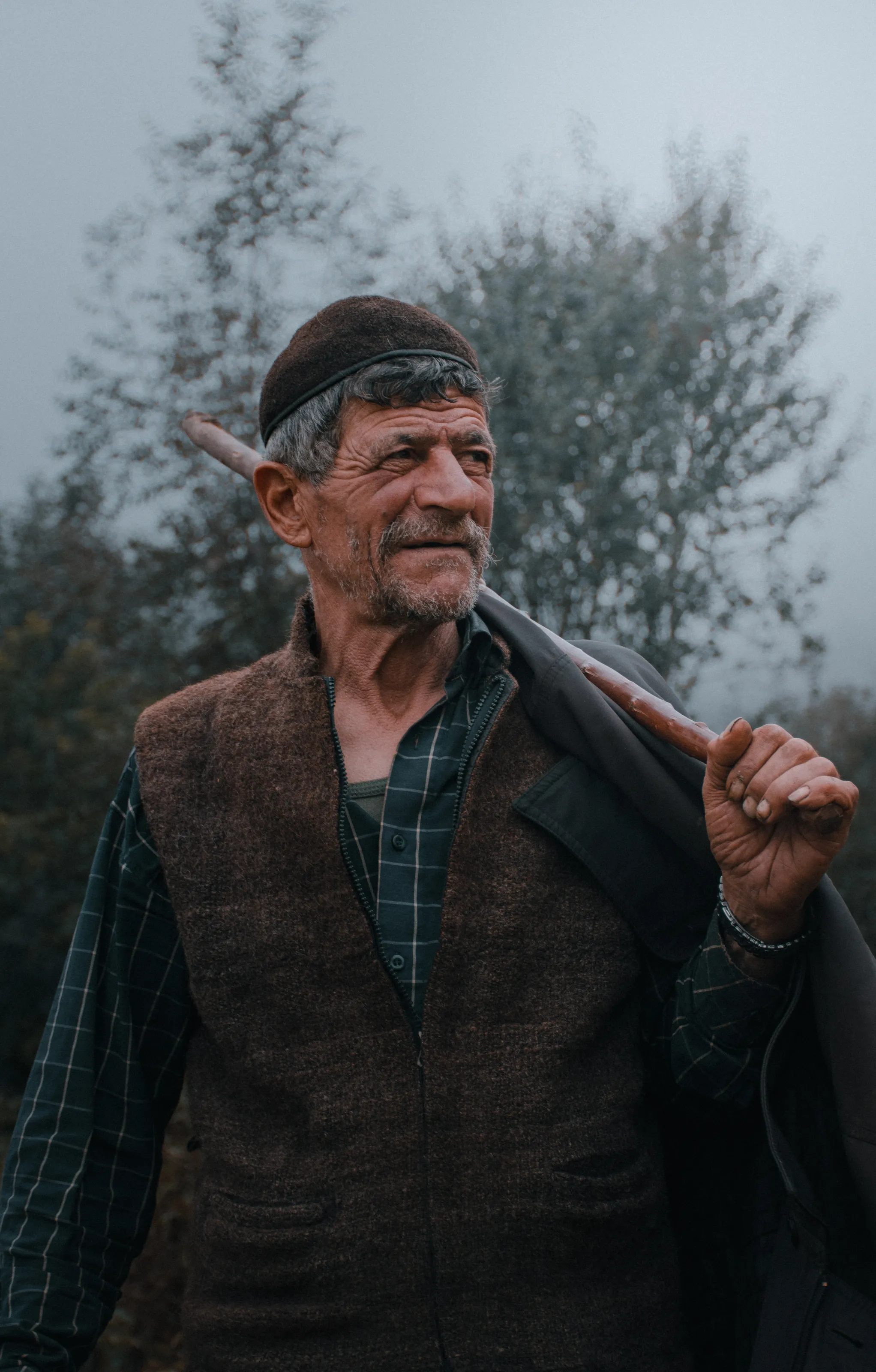 the shepherd
