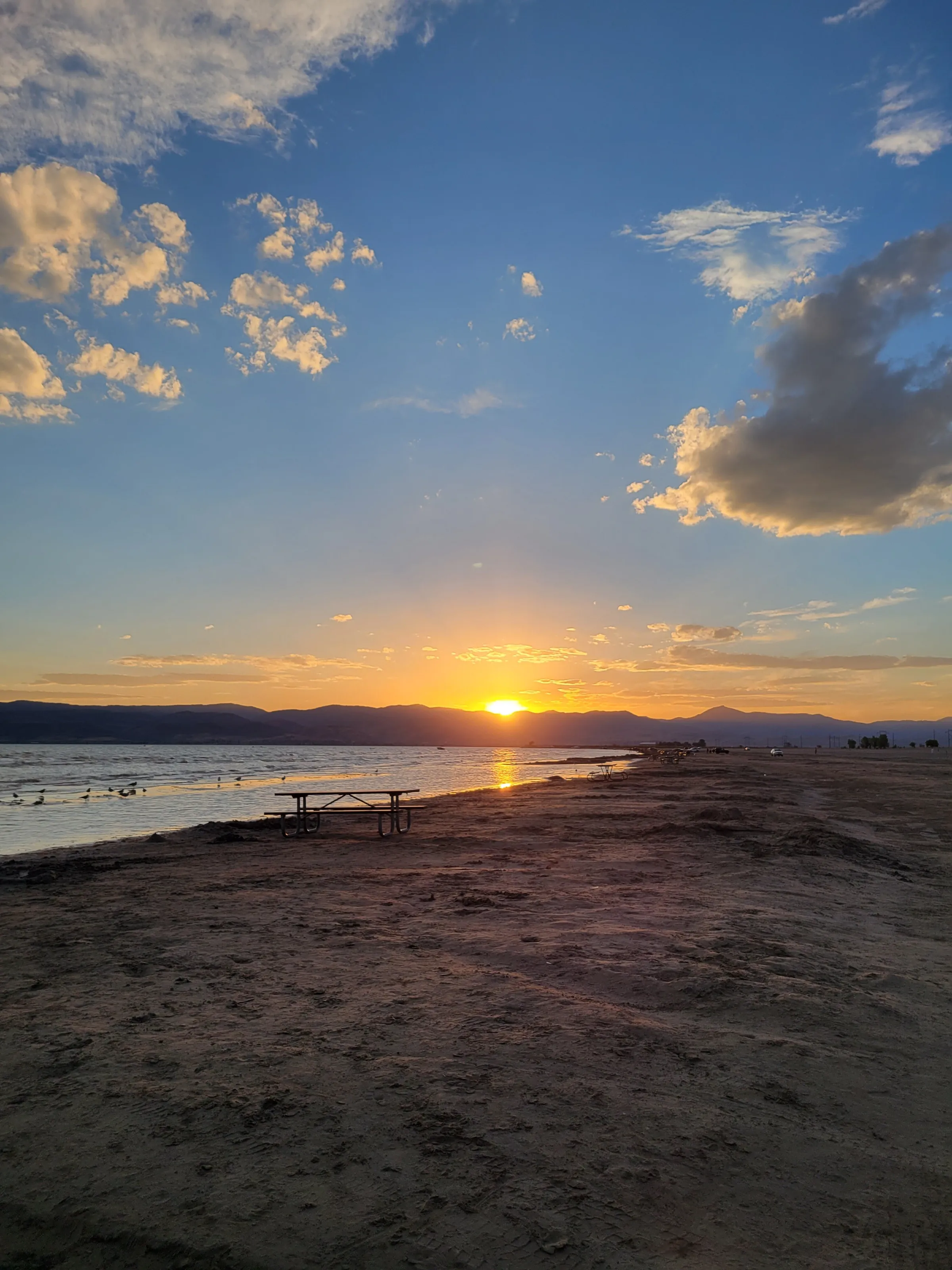 sunset