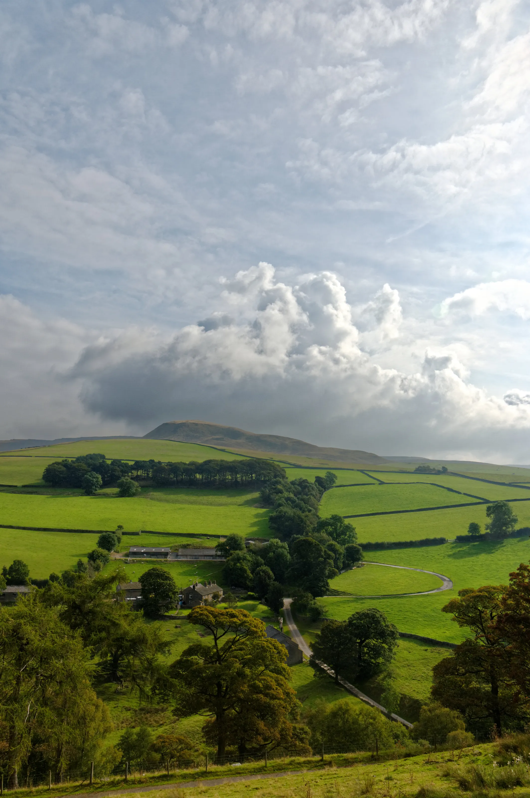 High Peak View