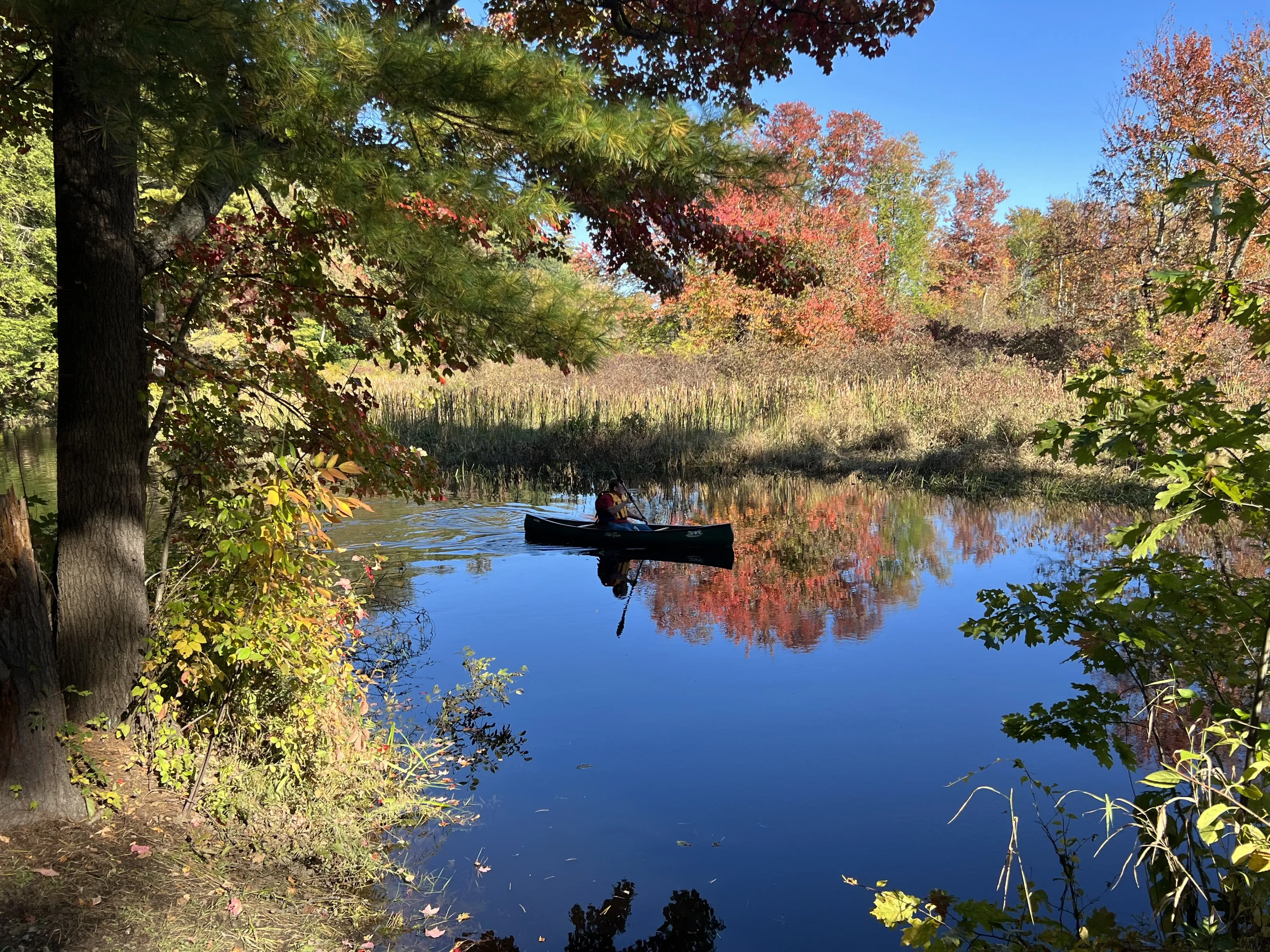 A Fall Glide