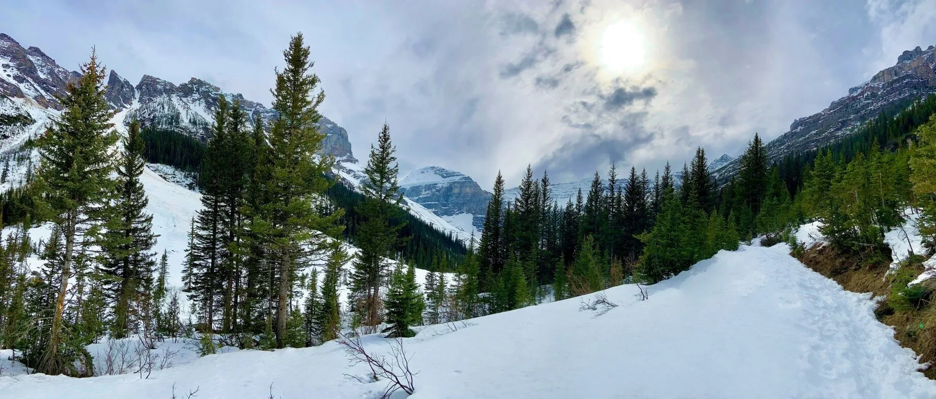 In the Mountains