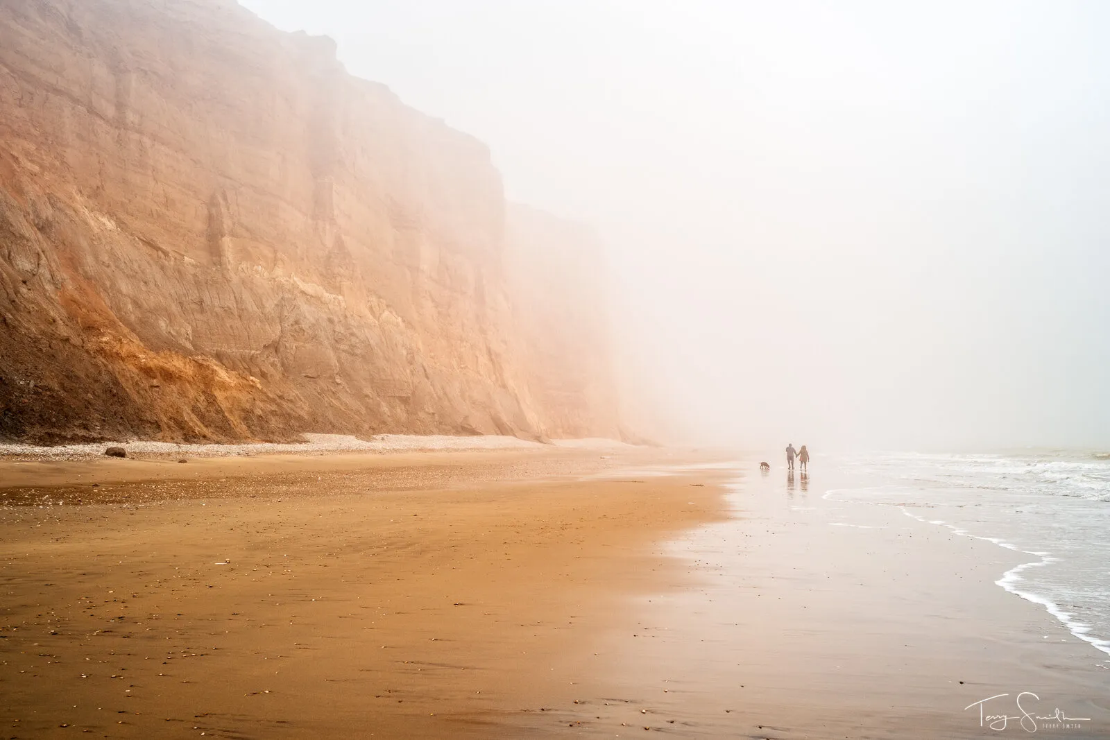 Into the Unknown