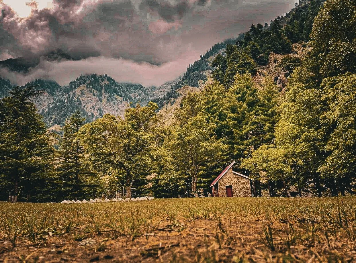 Entry 18144091