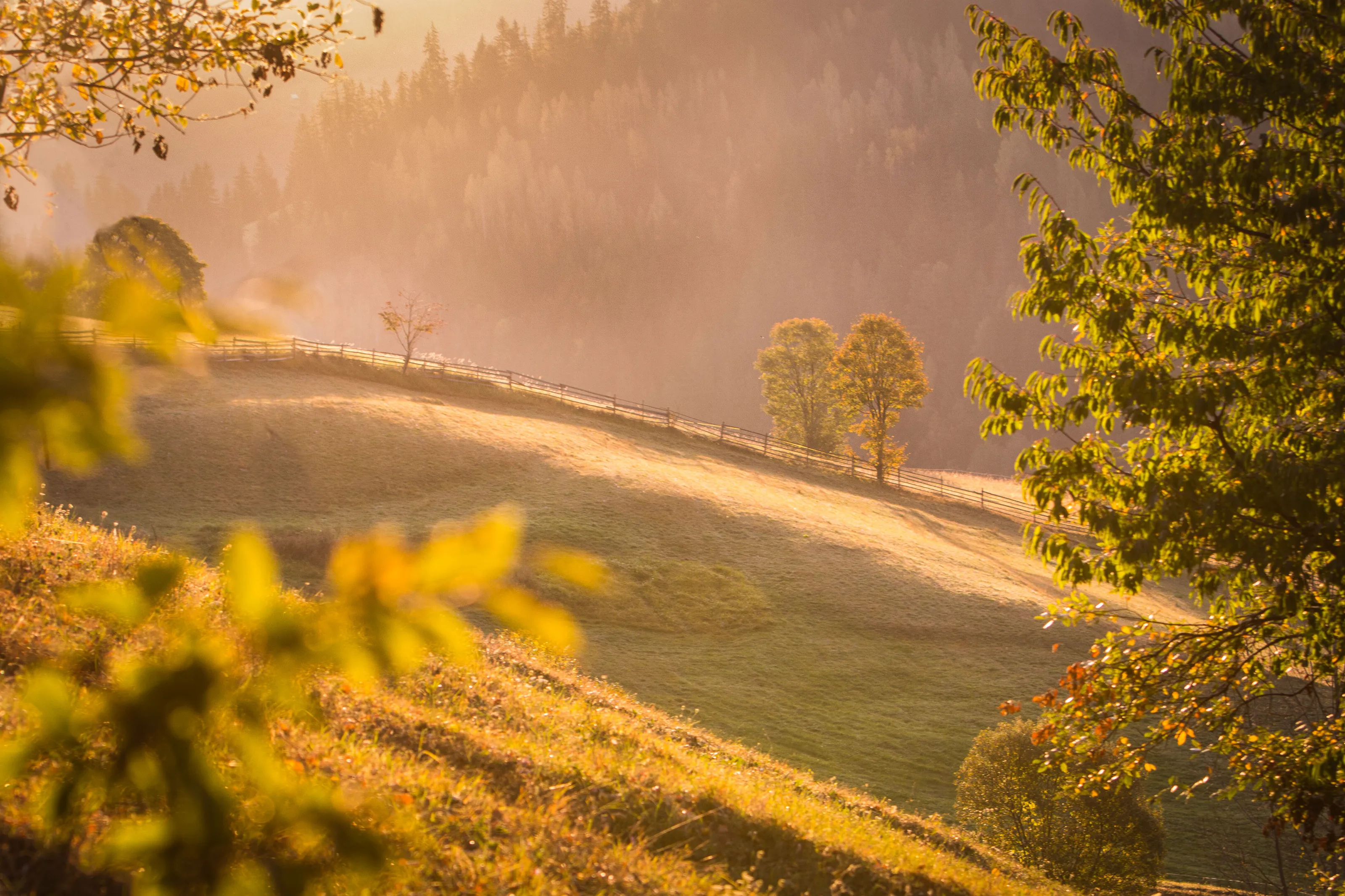 Warm fog
