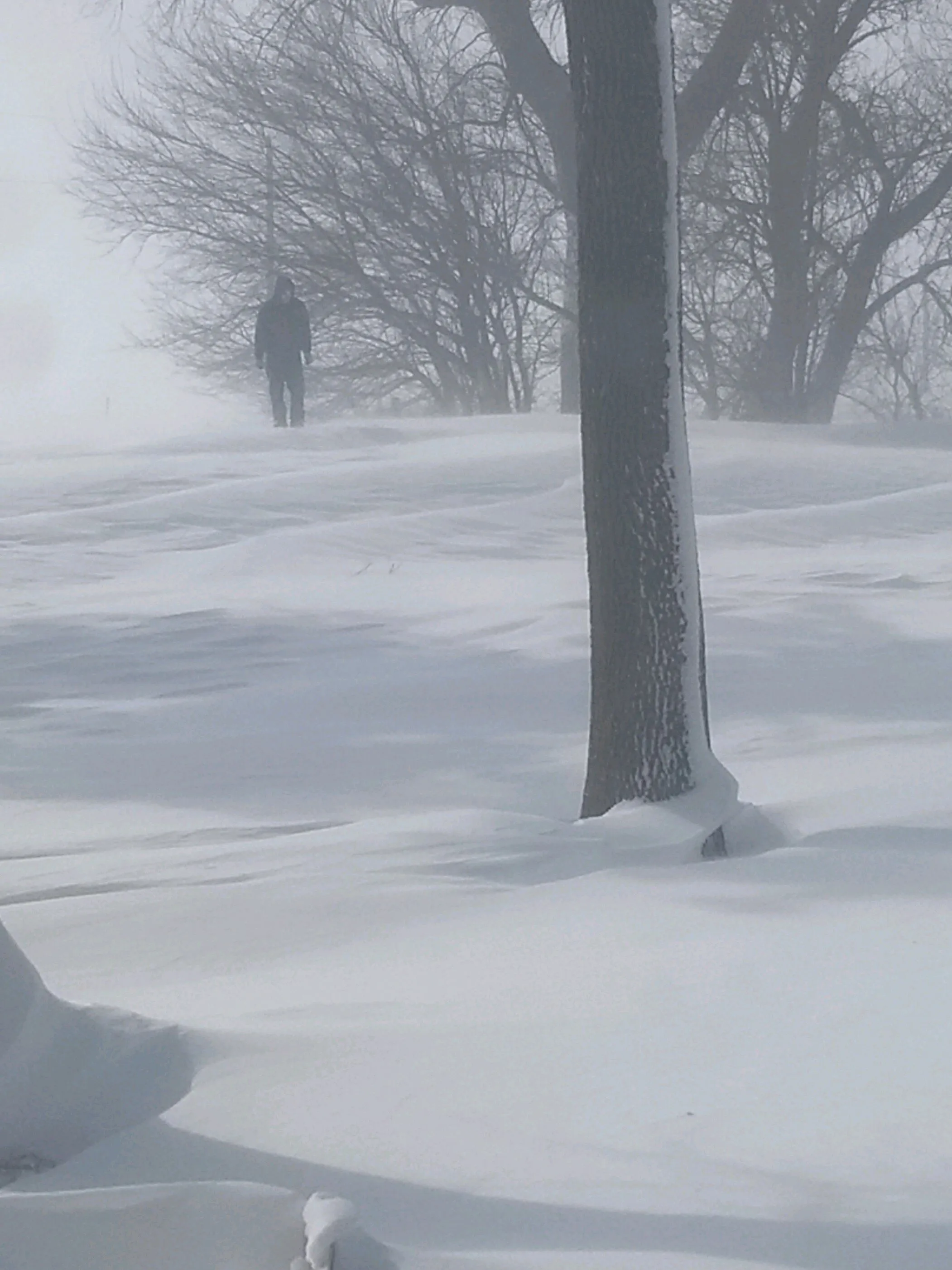 Winter Snow