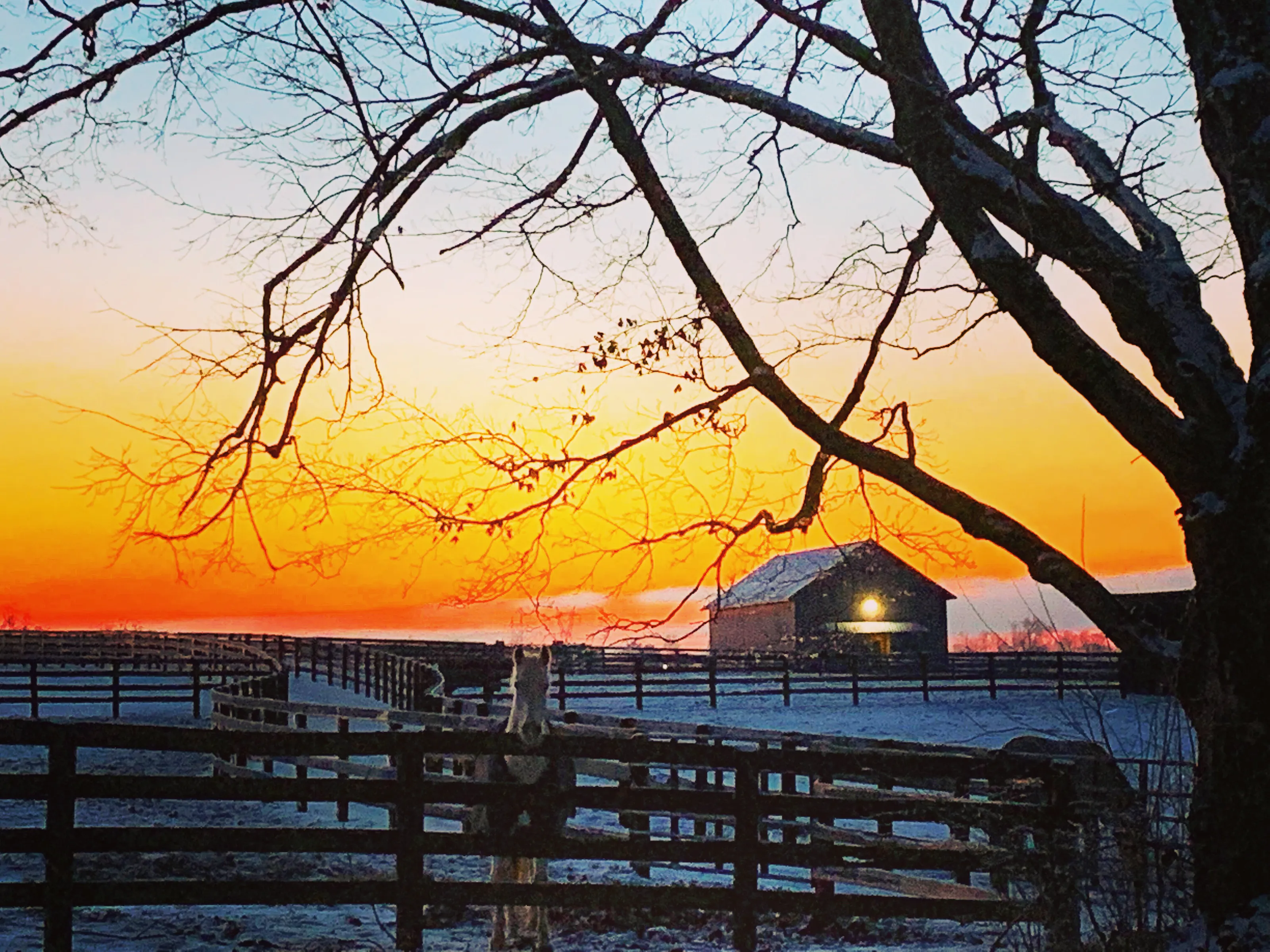Morning Sunrise