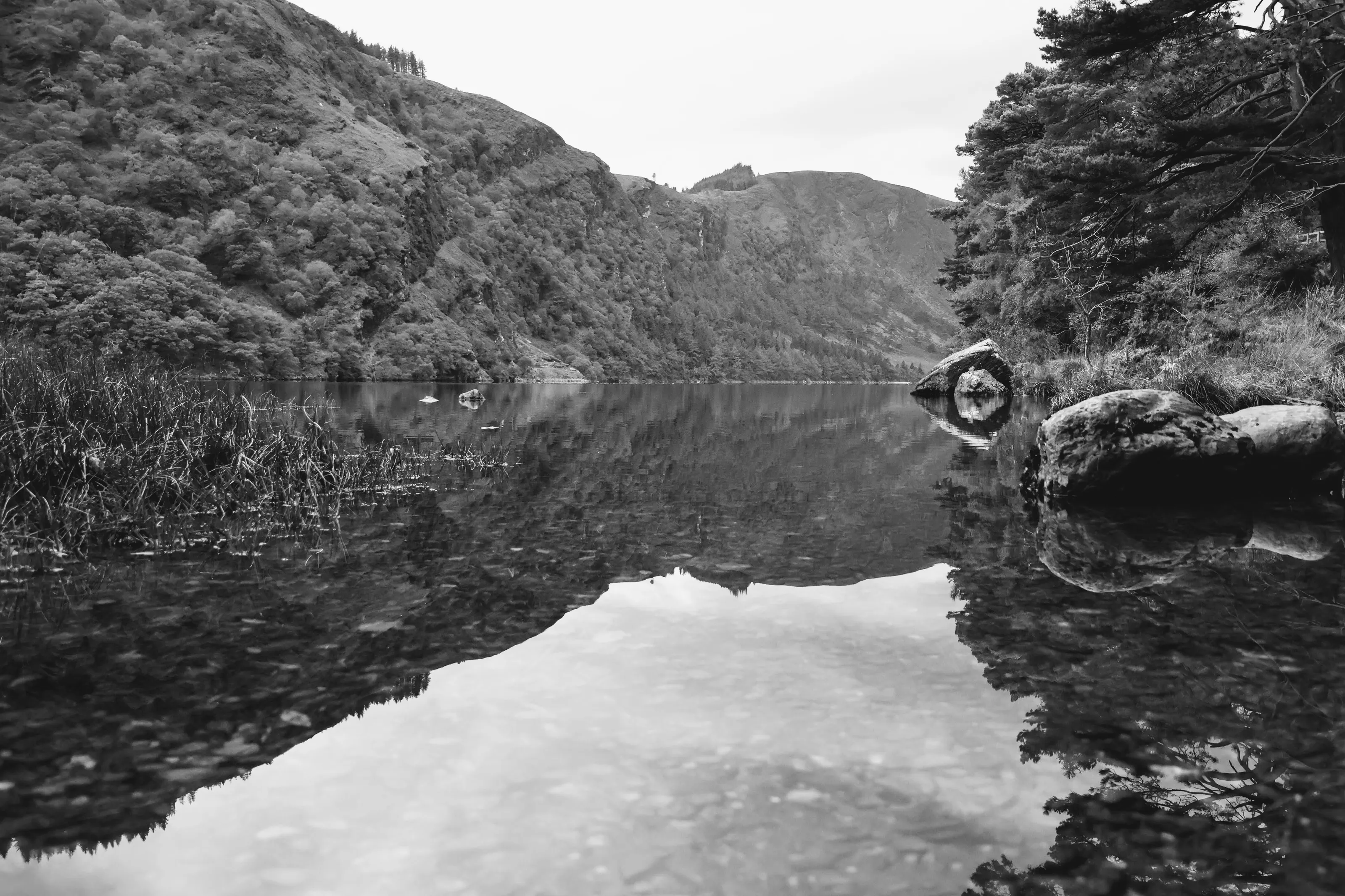 Silence