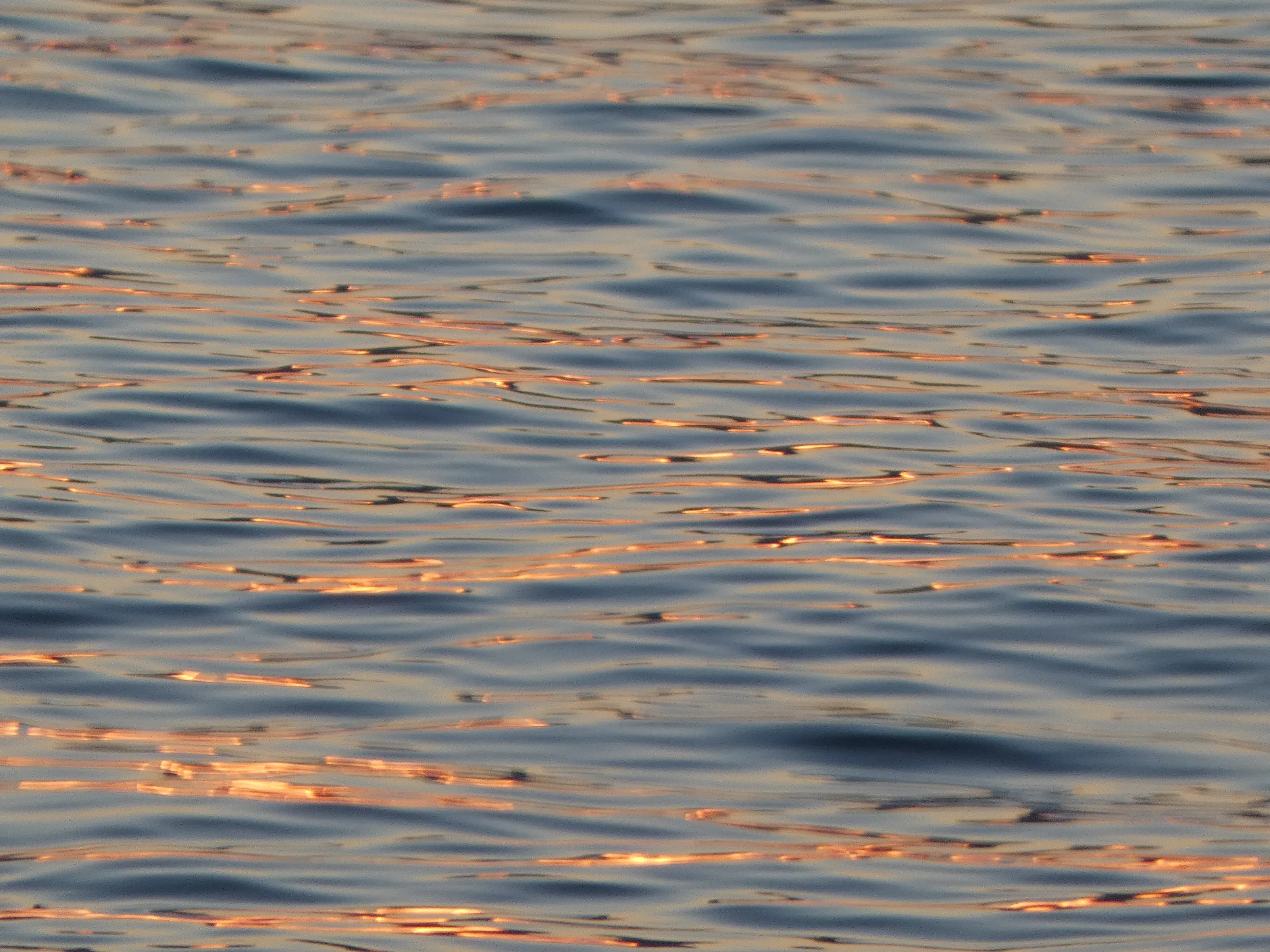 Ripples