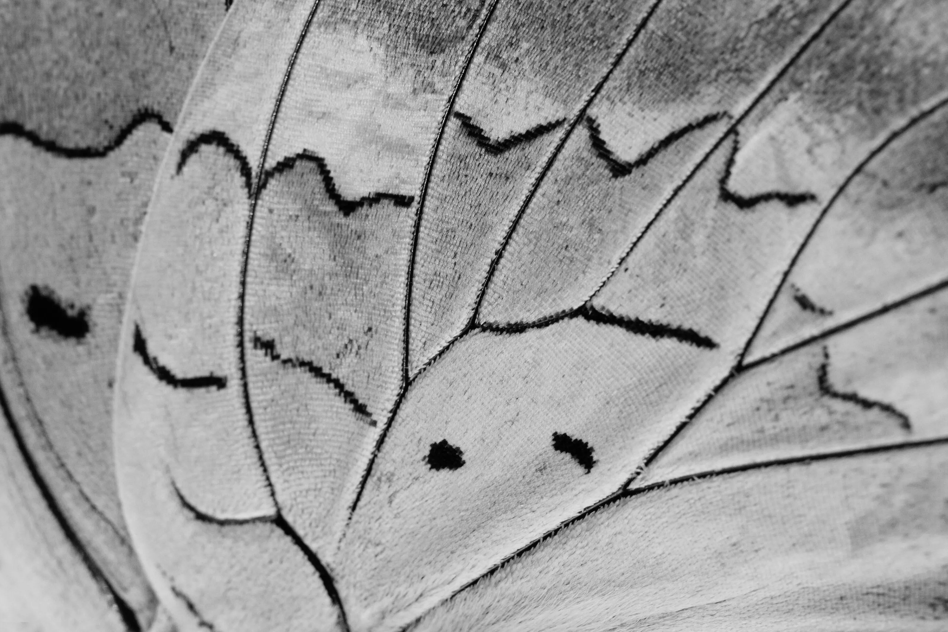 Made by nature
