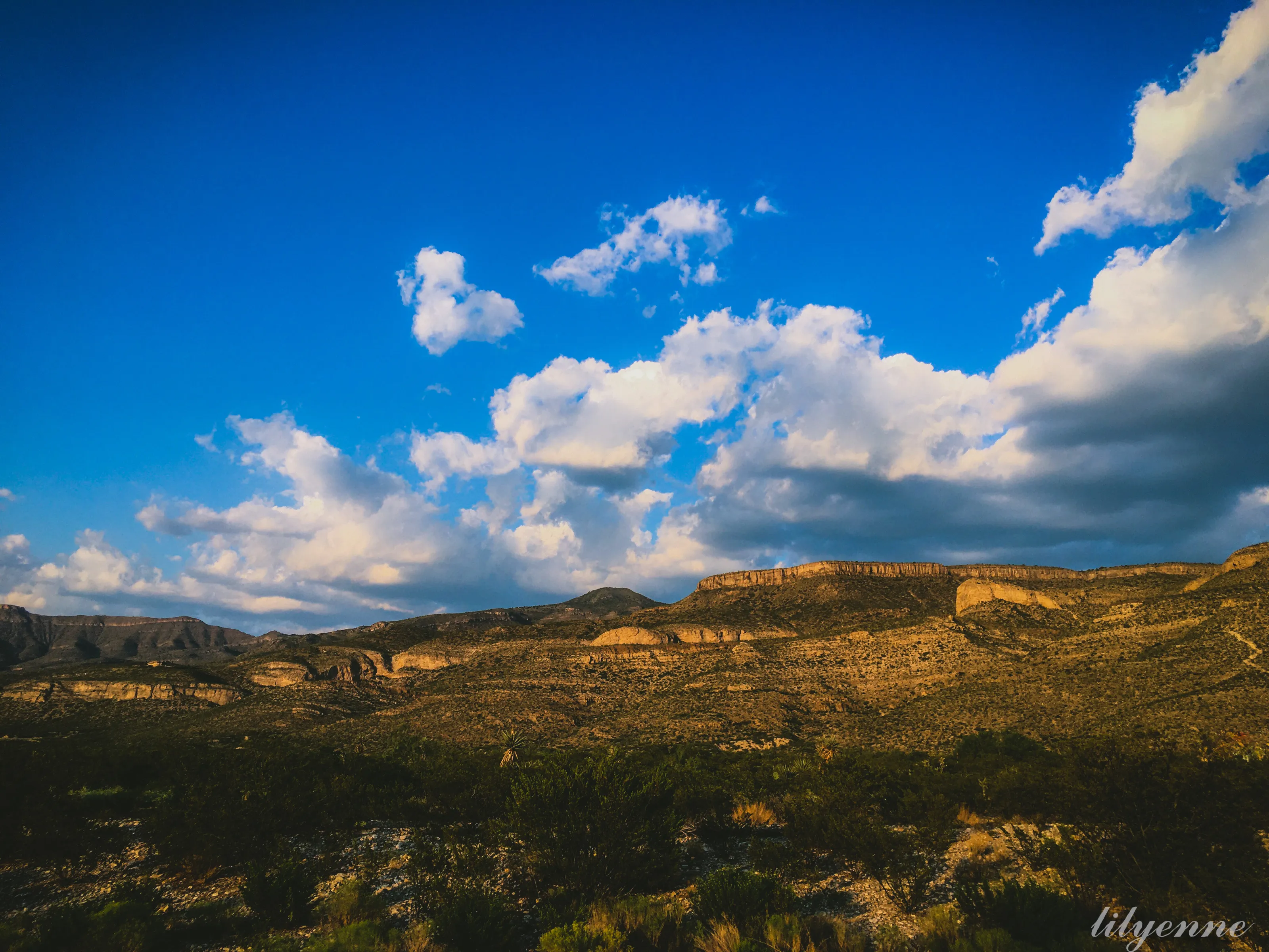 Sacramento Mountains