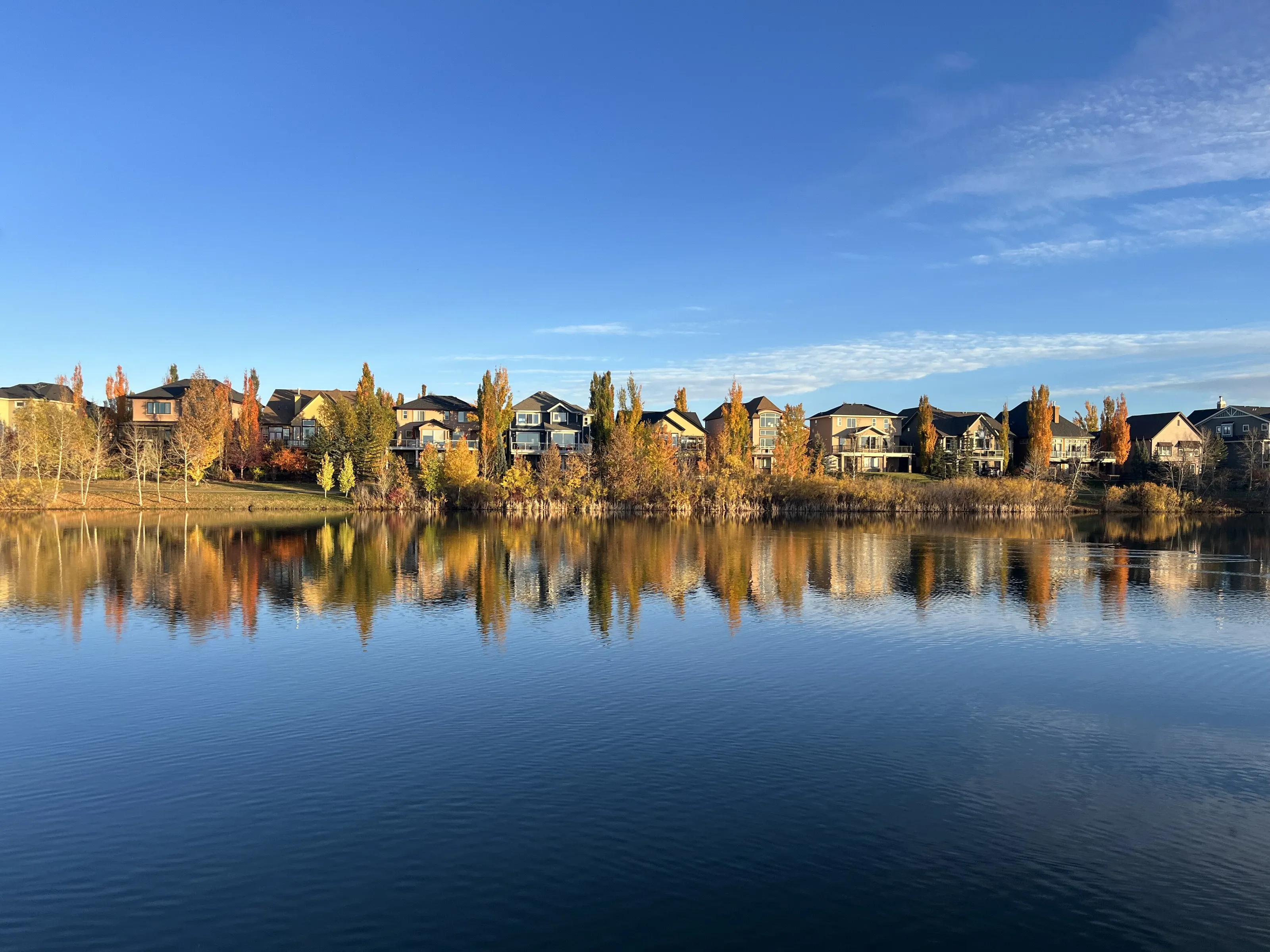 Reflective pond