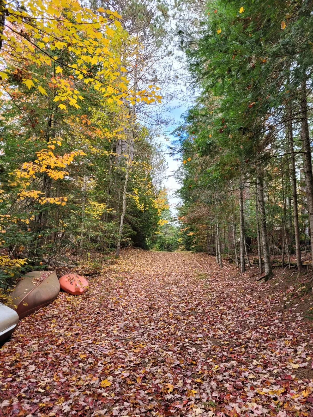 Nature untouched