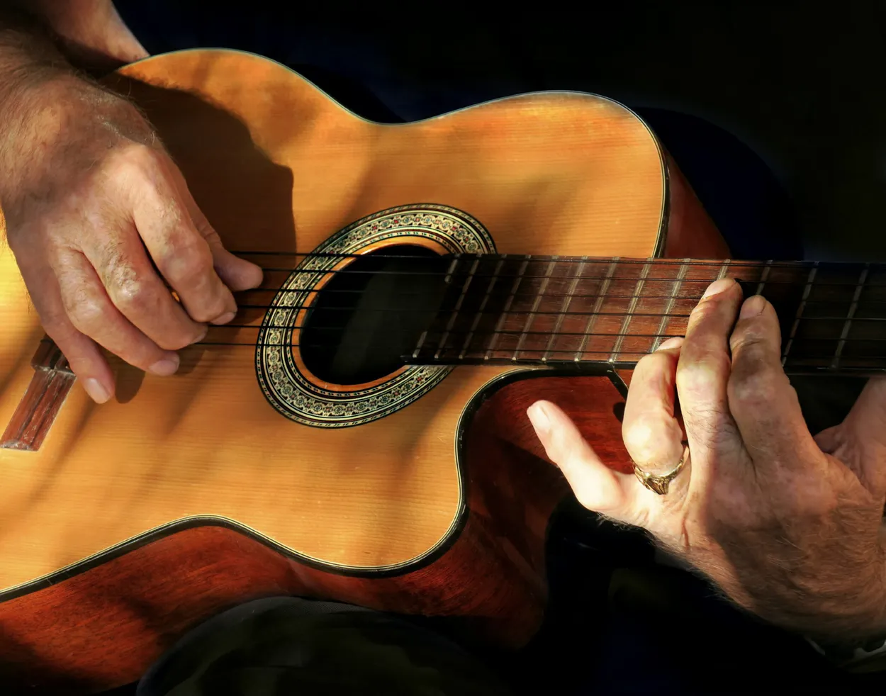 Entry 19935559