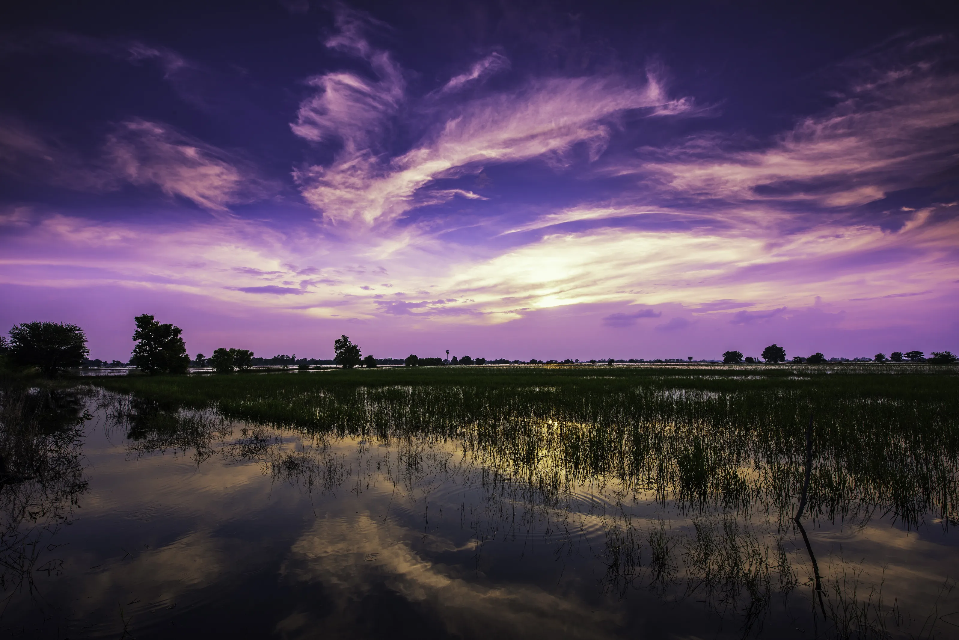 Tahkli Sunset