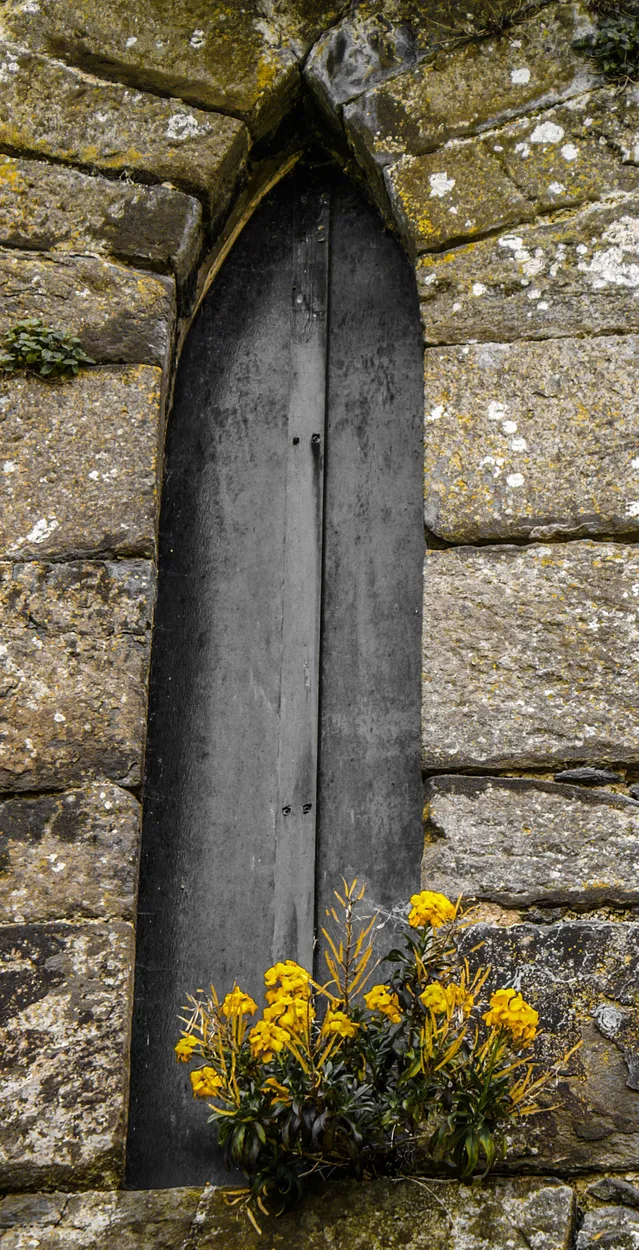 Entry 18194259