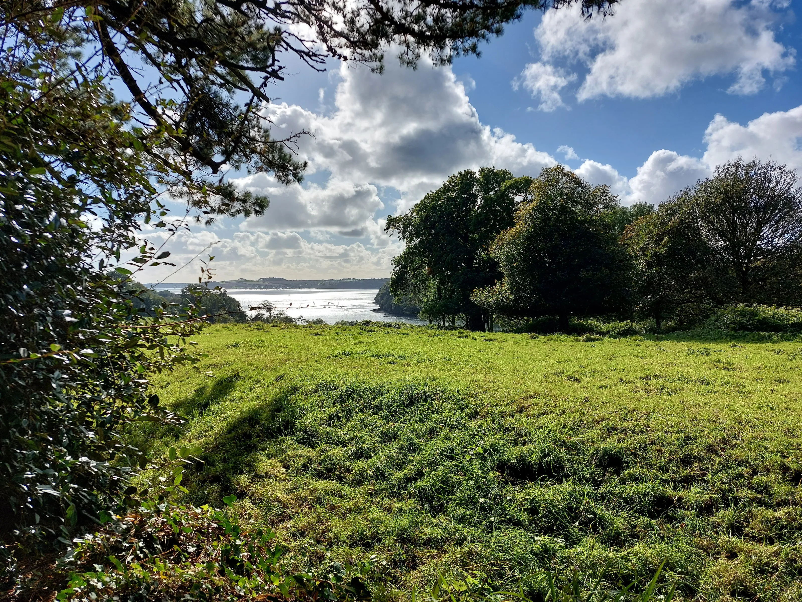 To the estuary