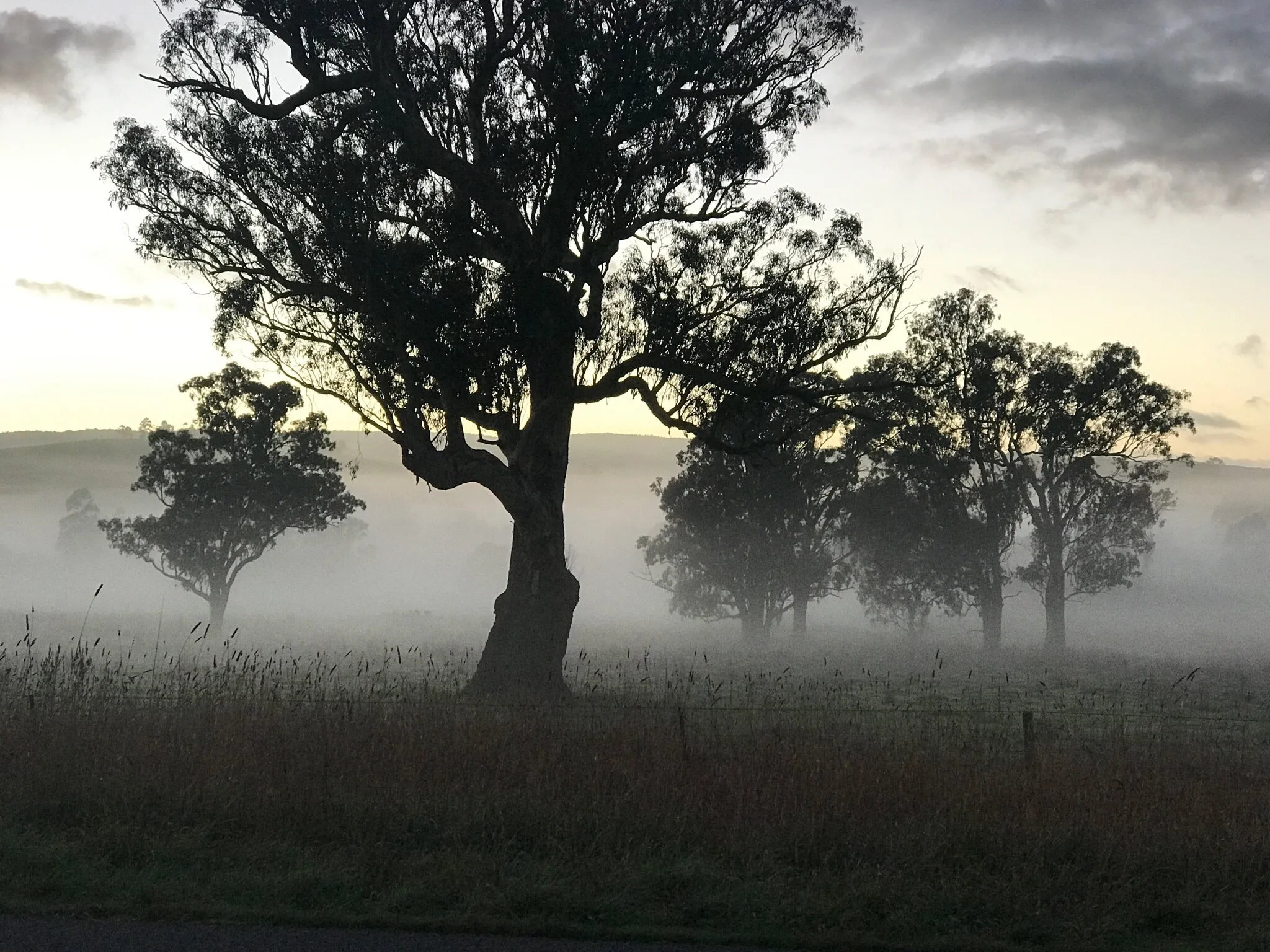 Mystical moments