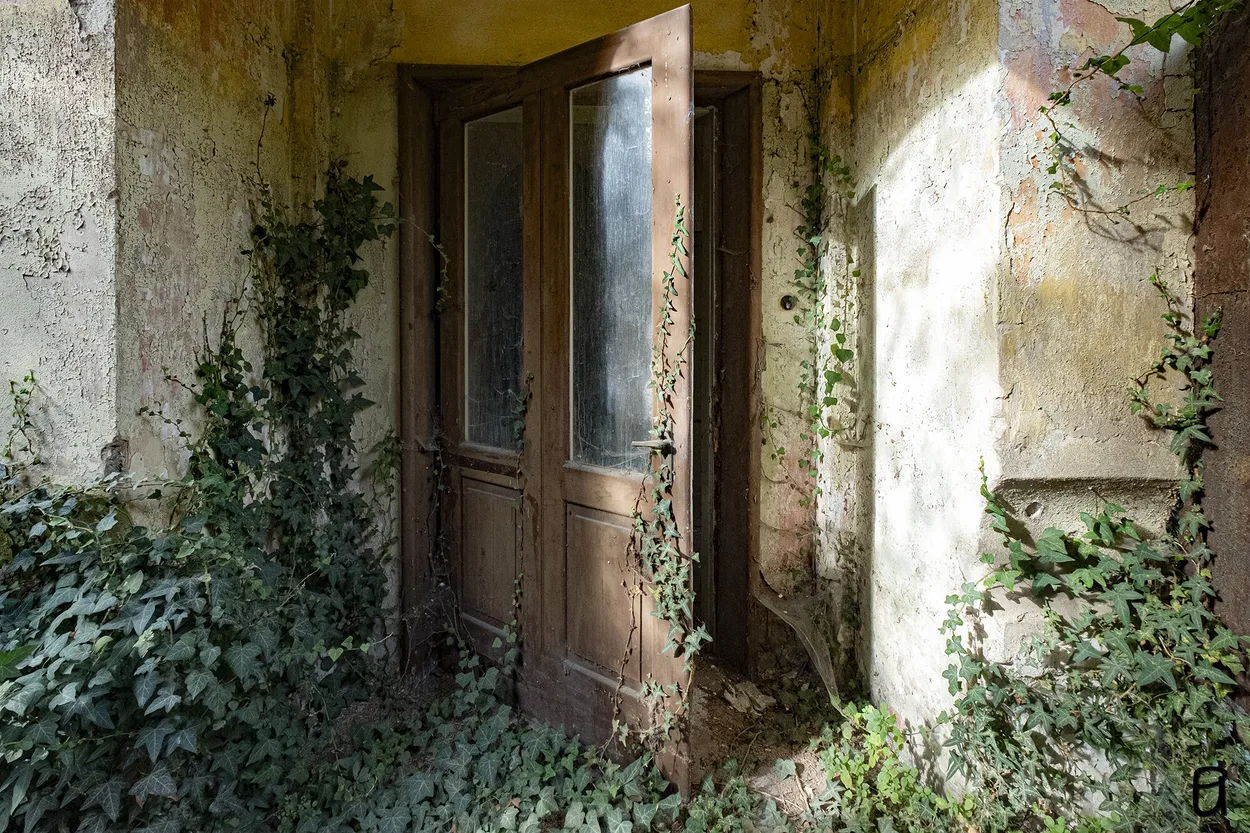 Entry 18206937