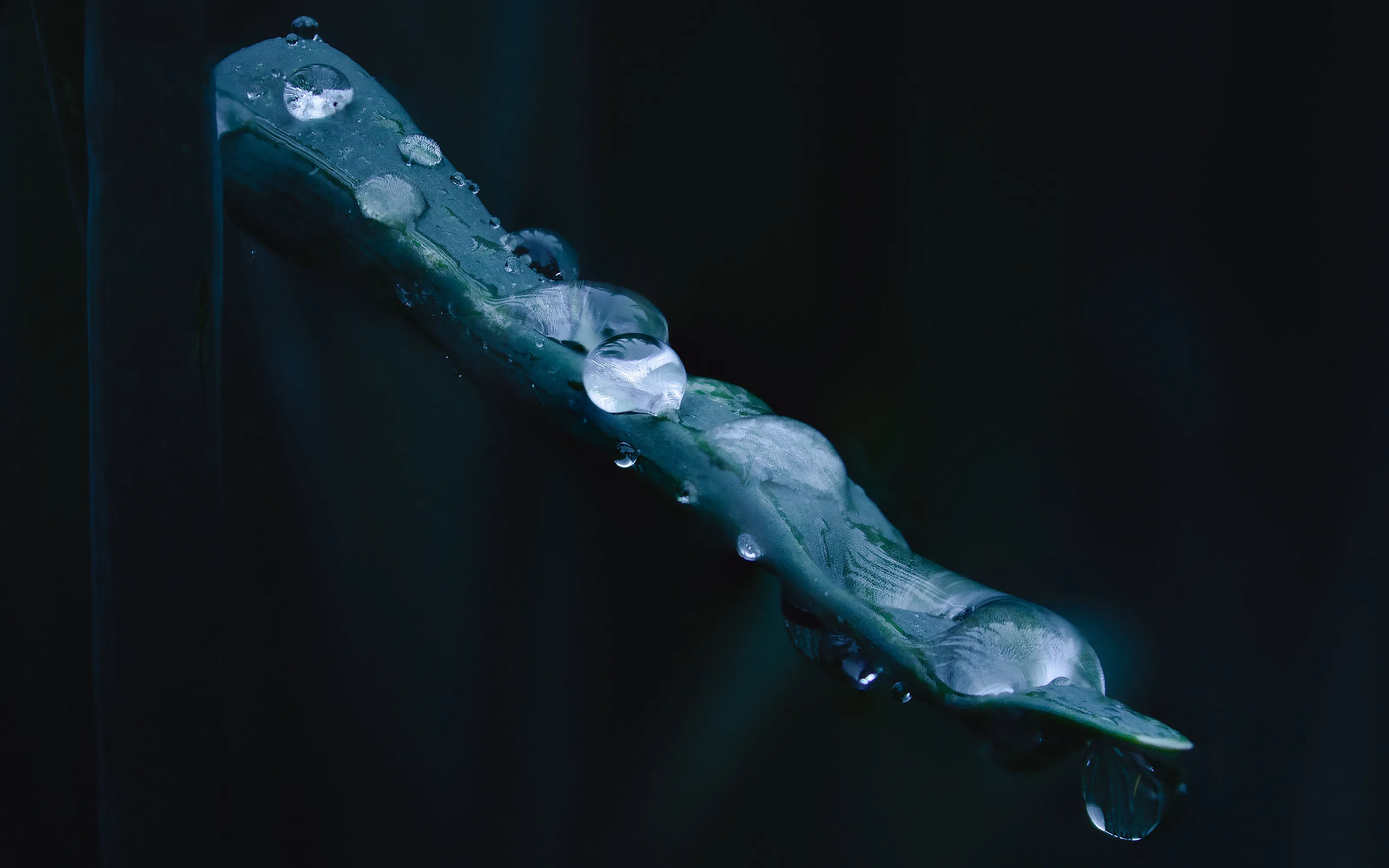 Watering Dew