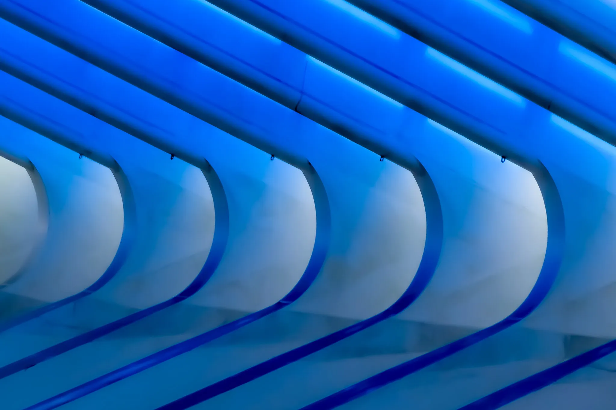 Calatrava Curves