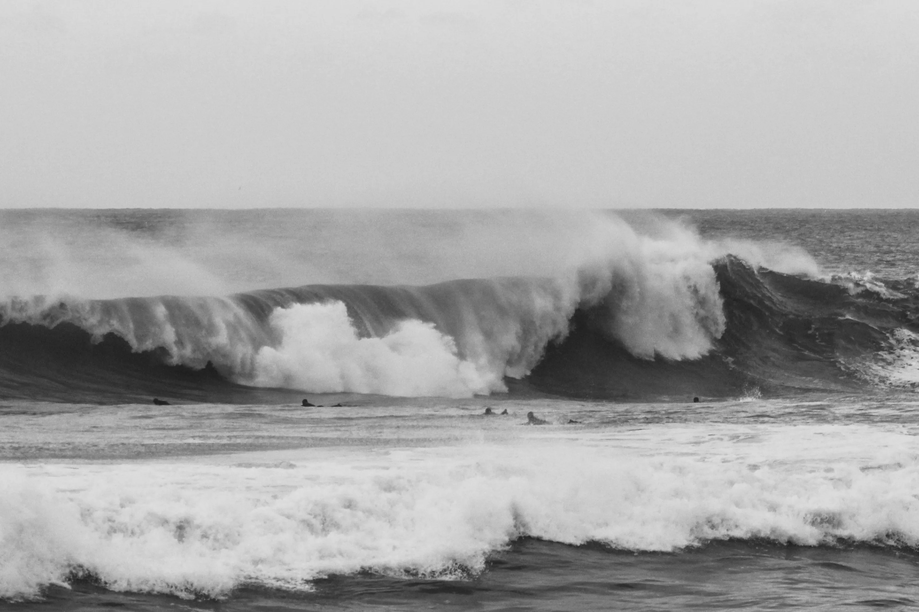 Cornish Carnage