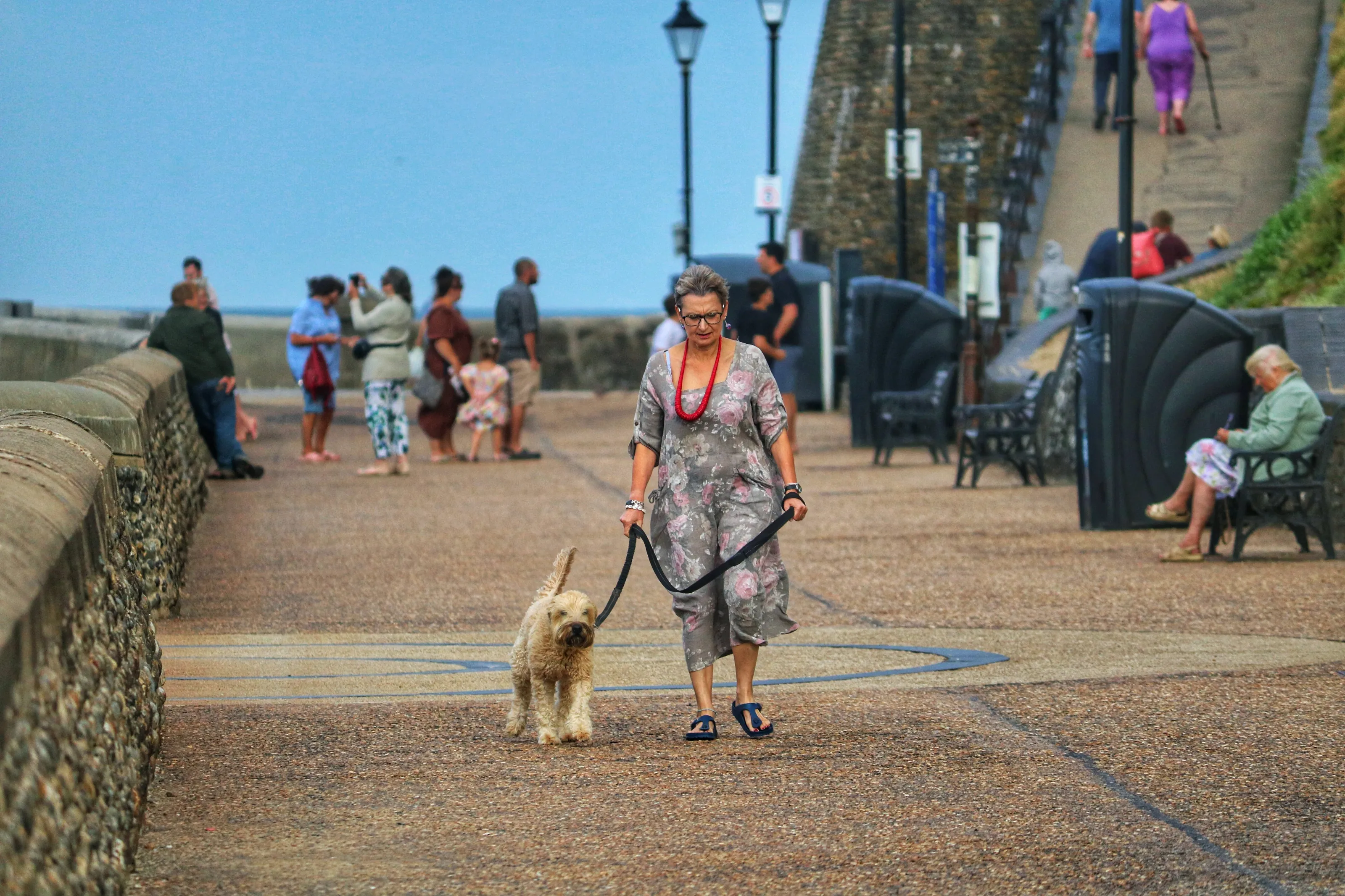 Dog walking by the pier