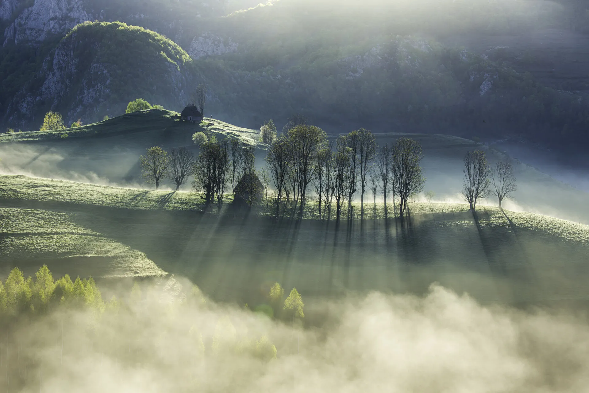 Rays of light