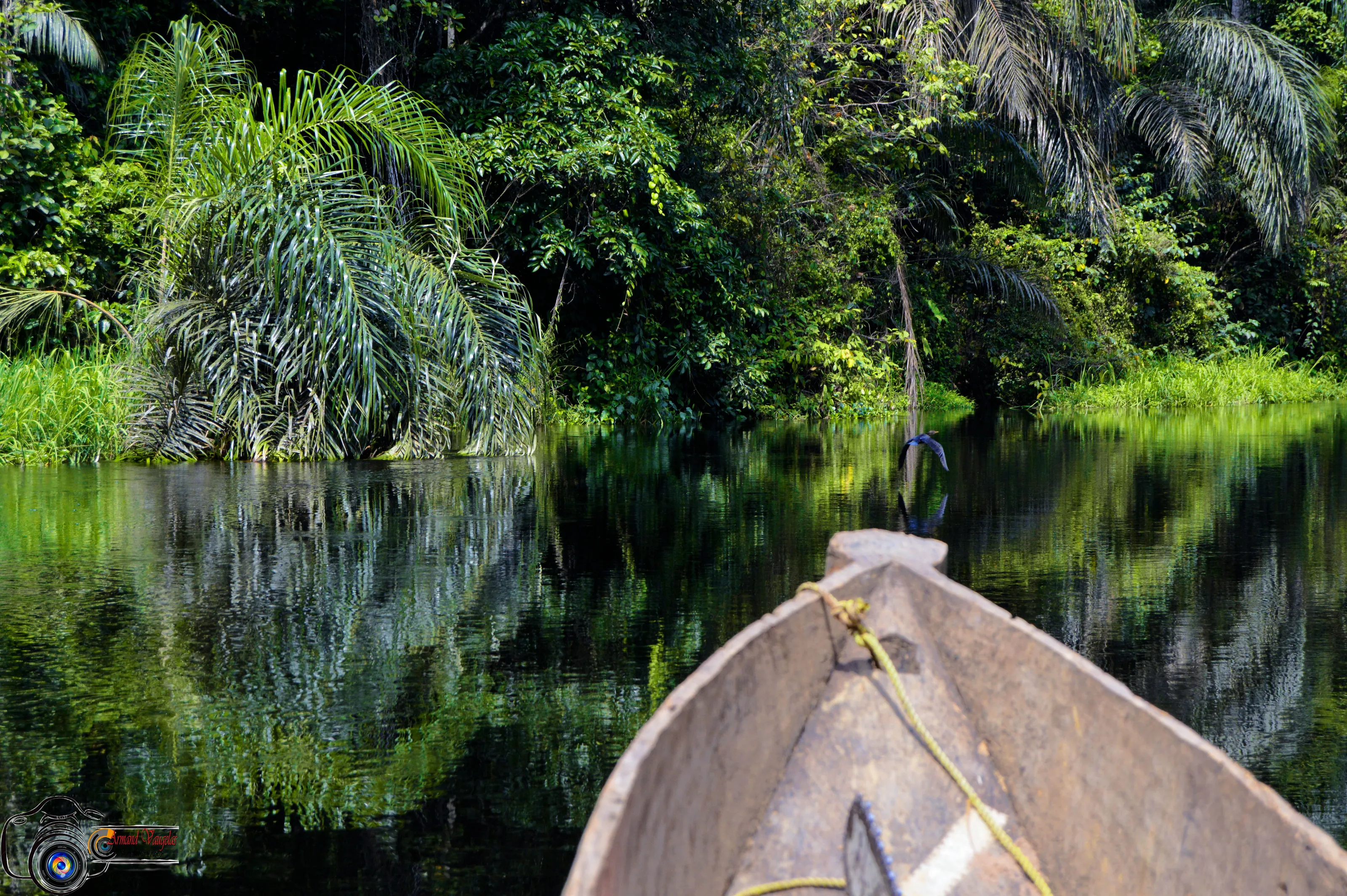 La Rivière Motaba au nord de la République Congo