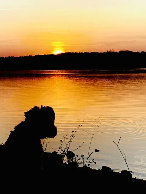 Sunset at Patoka Lake