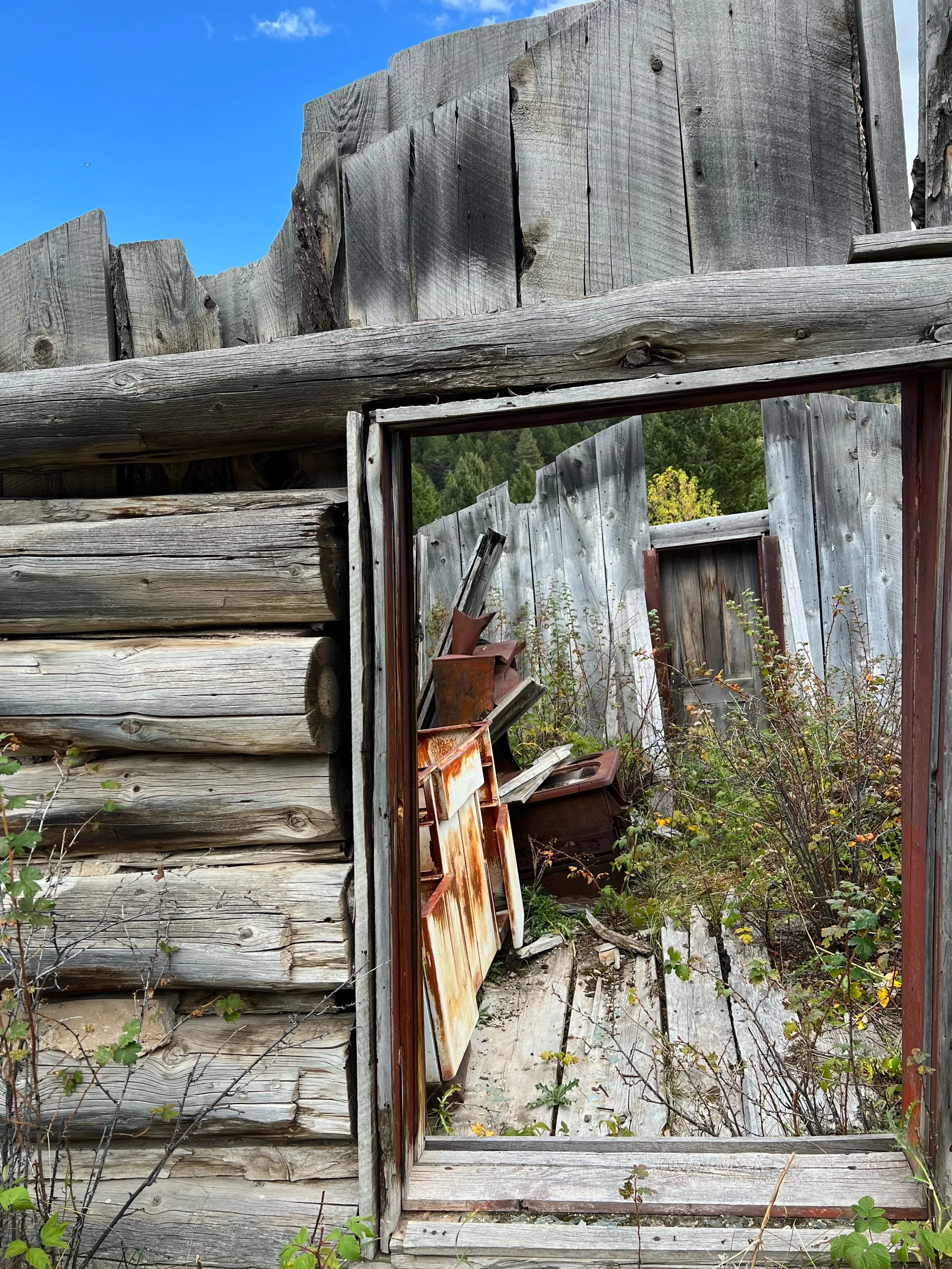 Banner image