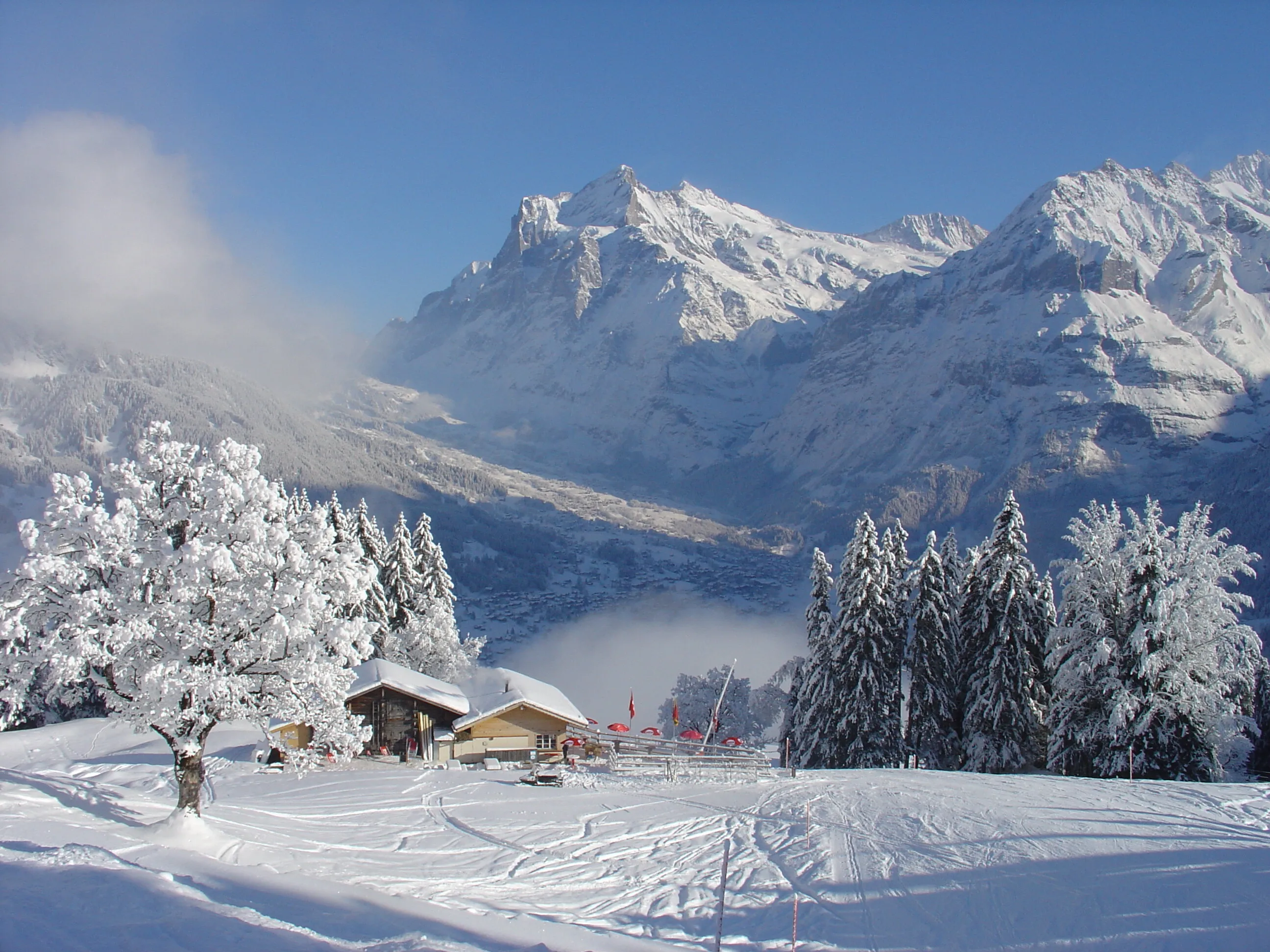 The White Stuff, Grindelwald