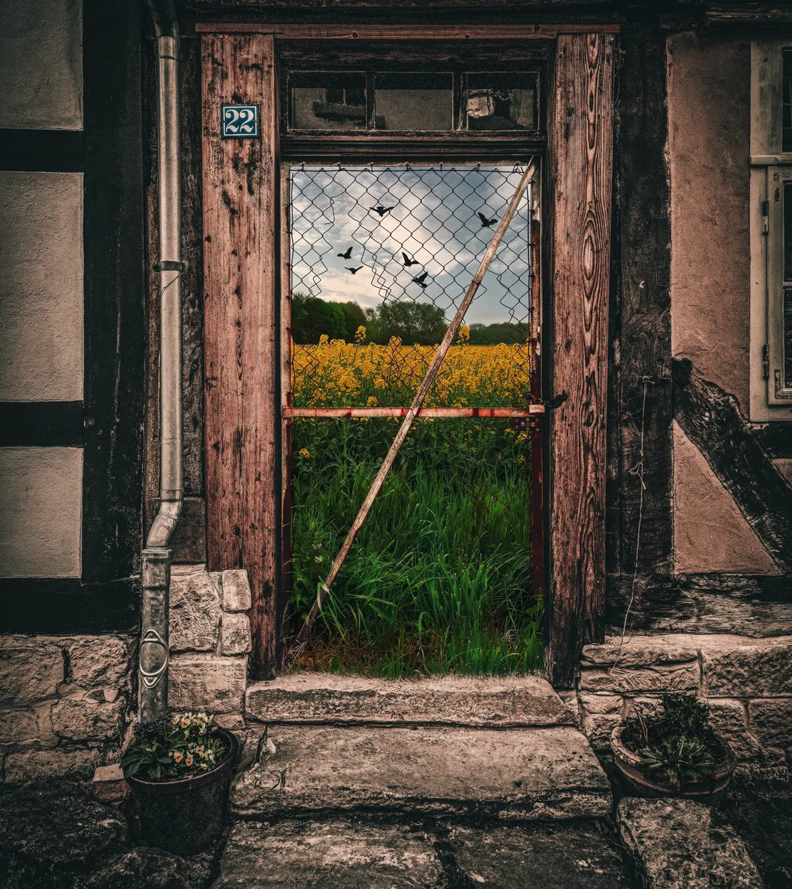 Entry 18250385