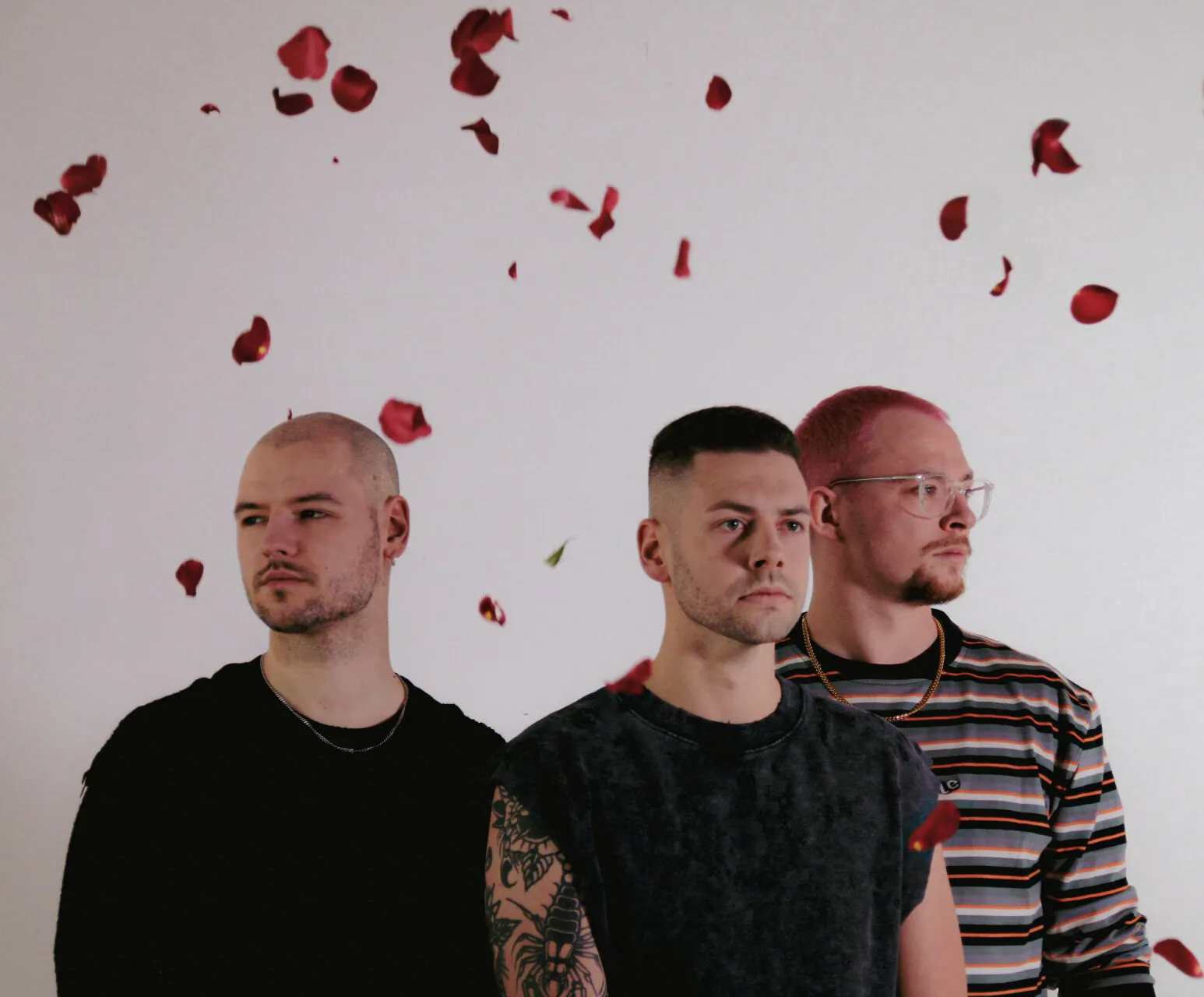 Behind the scenes with Tight Clique