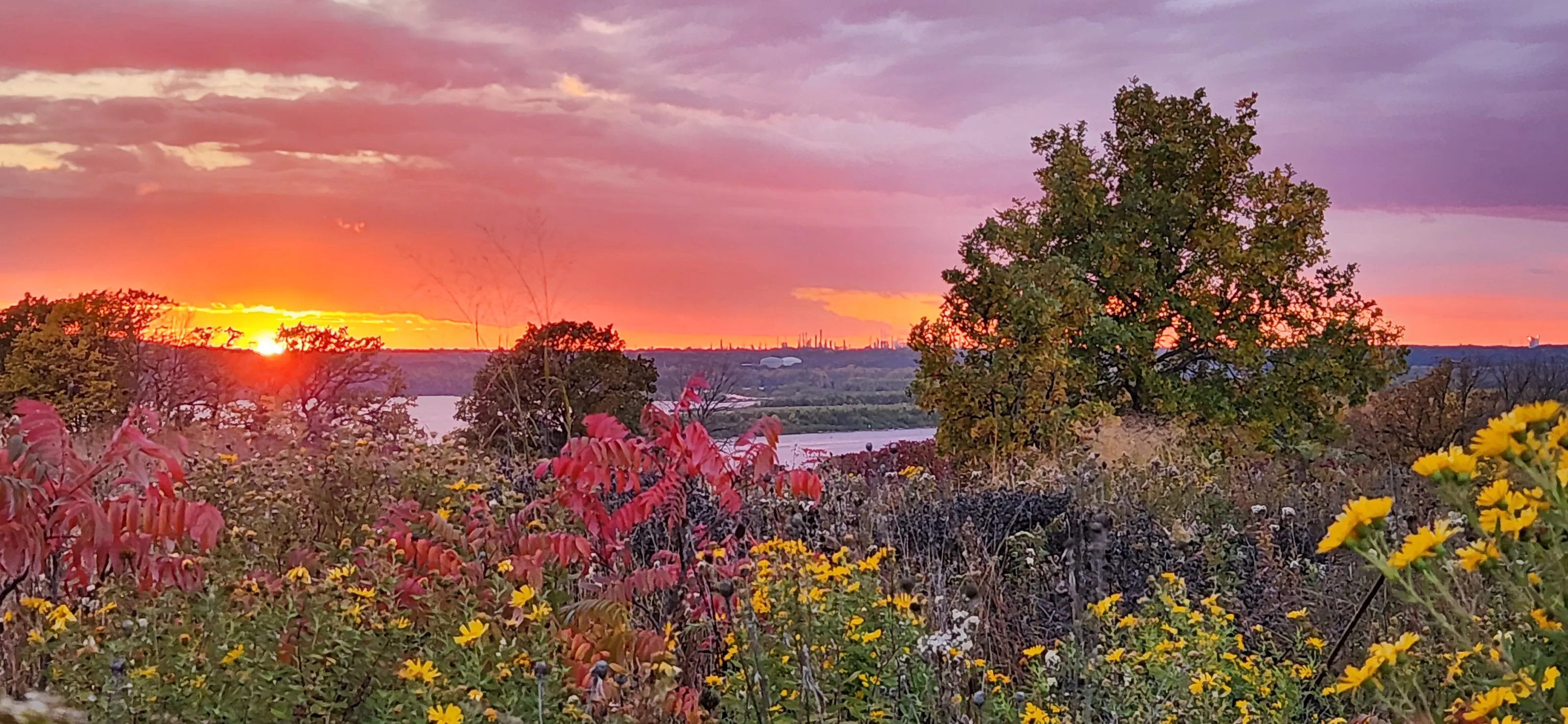 Autumn Sunset