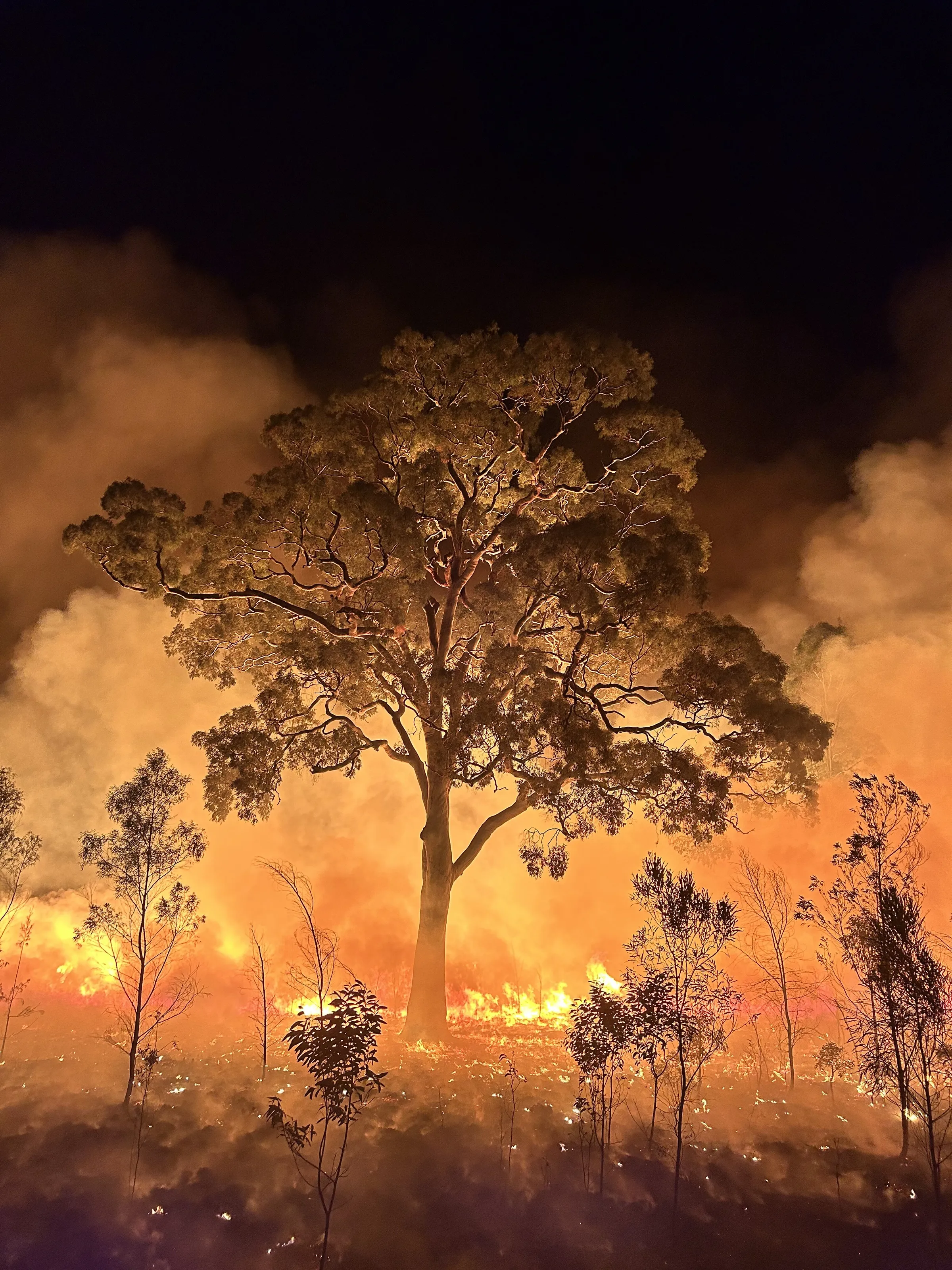 Burning Gum