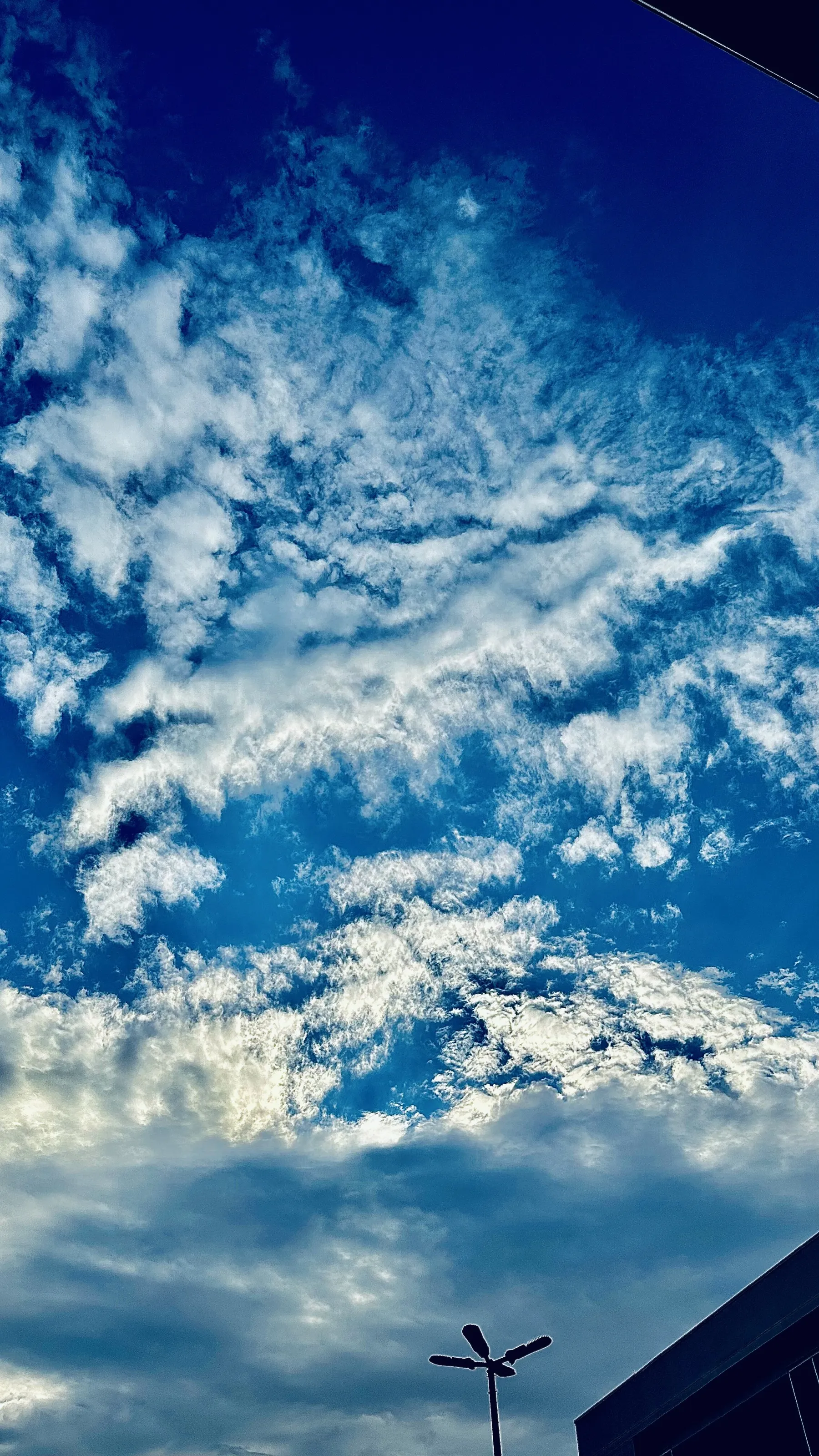#clouds #sky#bluesky#afterrain