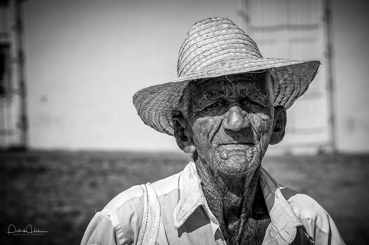 Entry 19474257